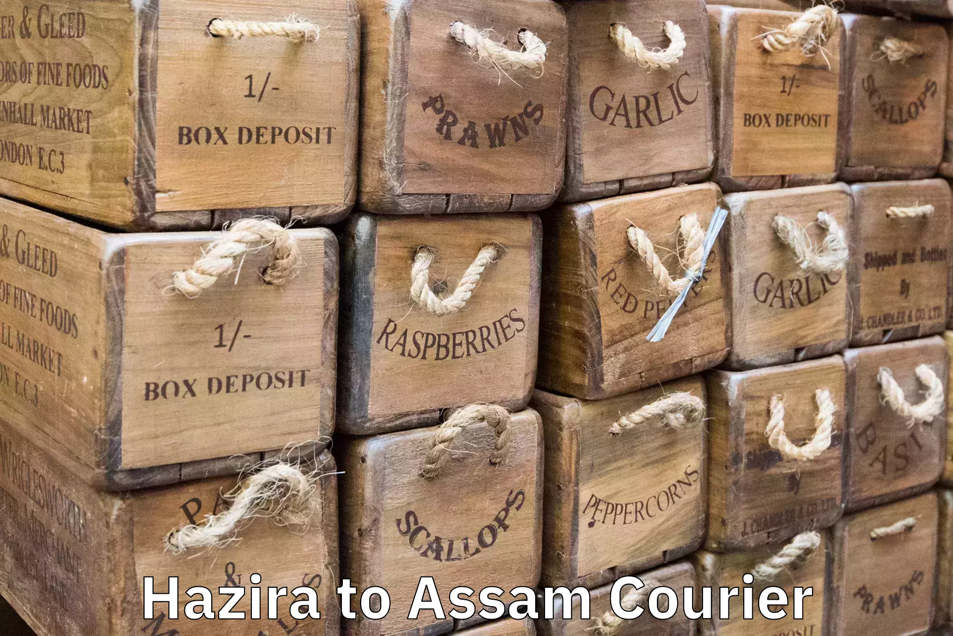 Baggage courier strategy Hazira to Assam