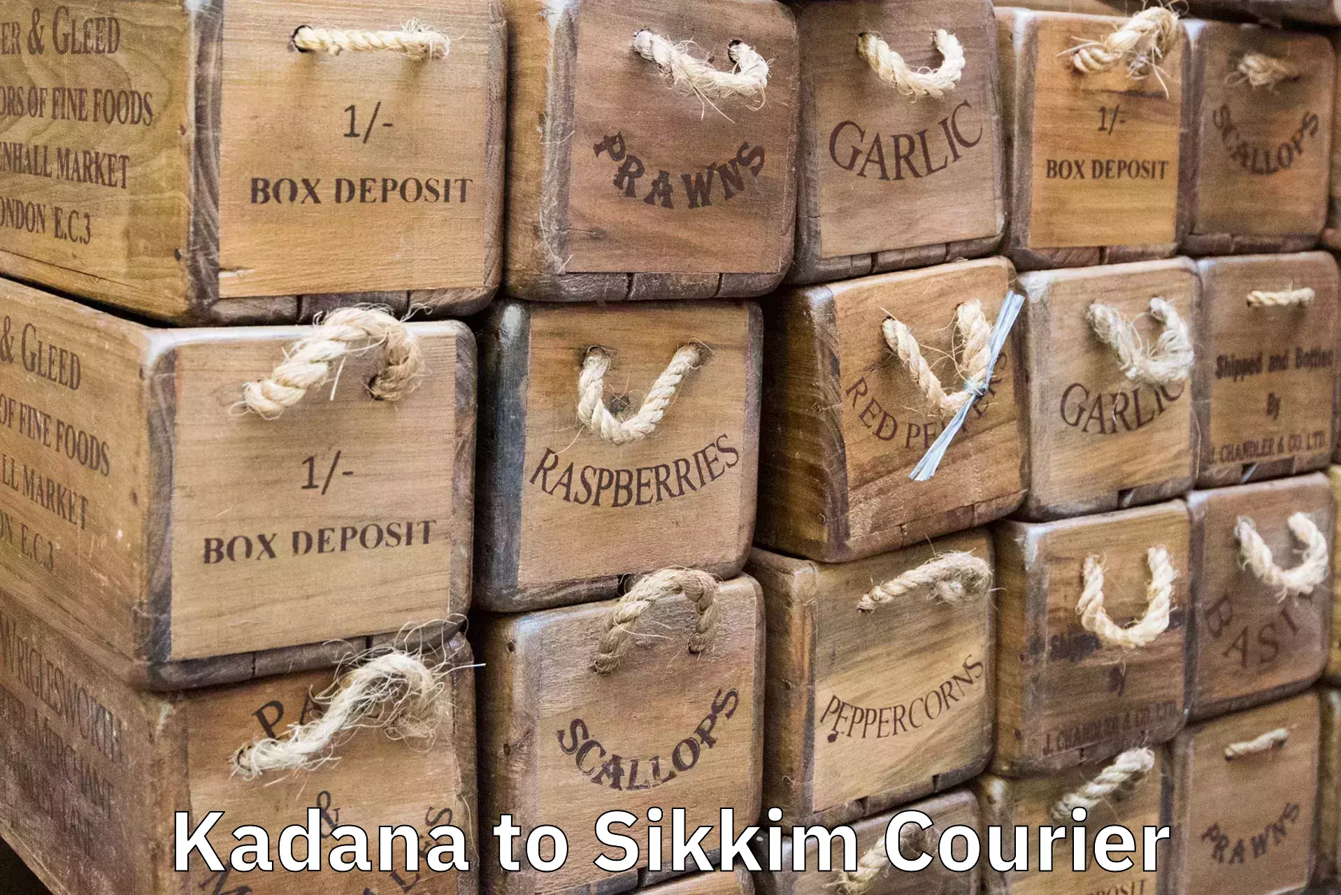 Baggage courier operations Kadana to East Sikkim