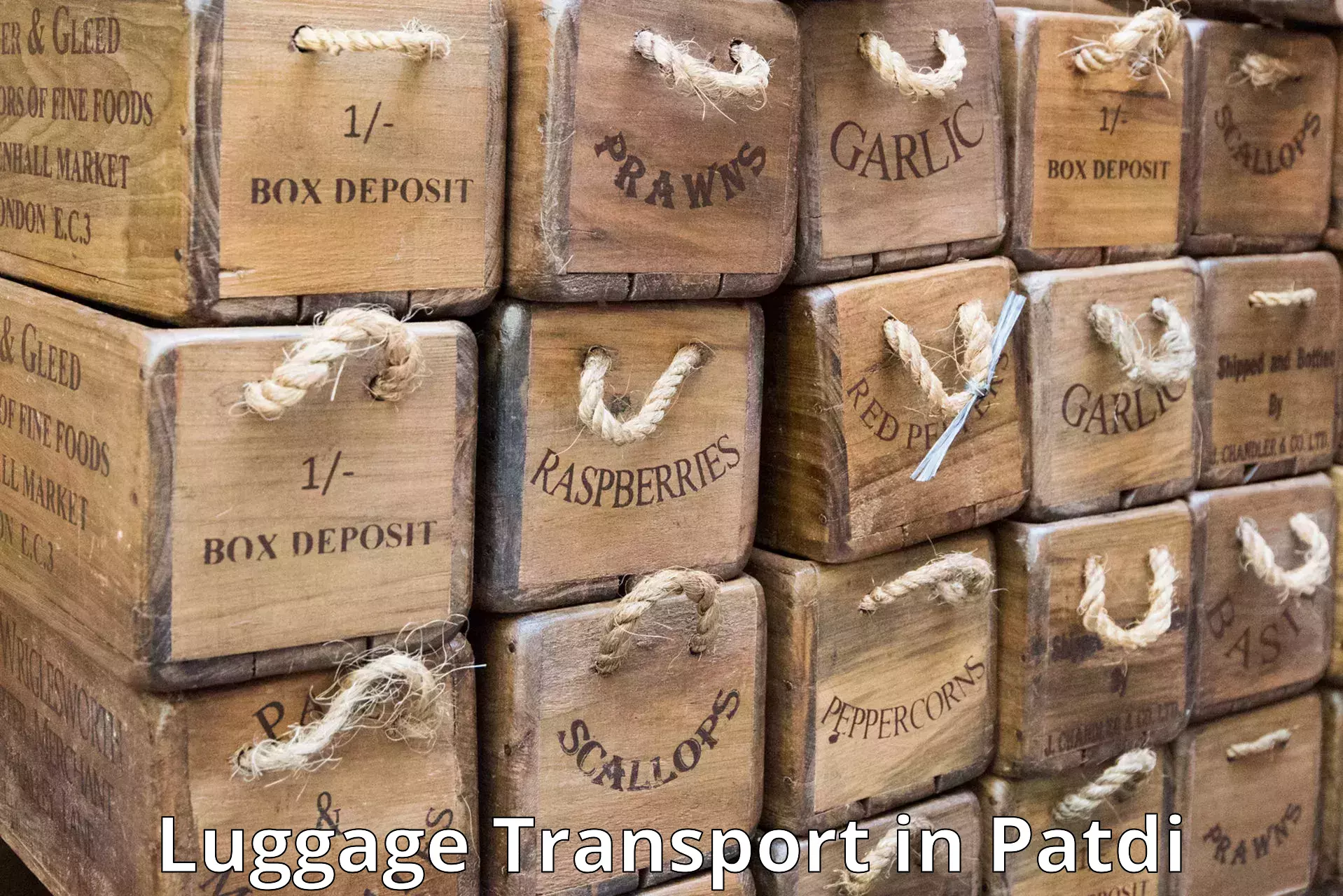 Holiday baggage shipping in Patdi