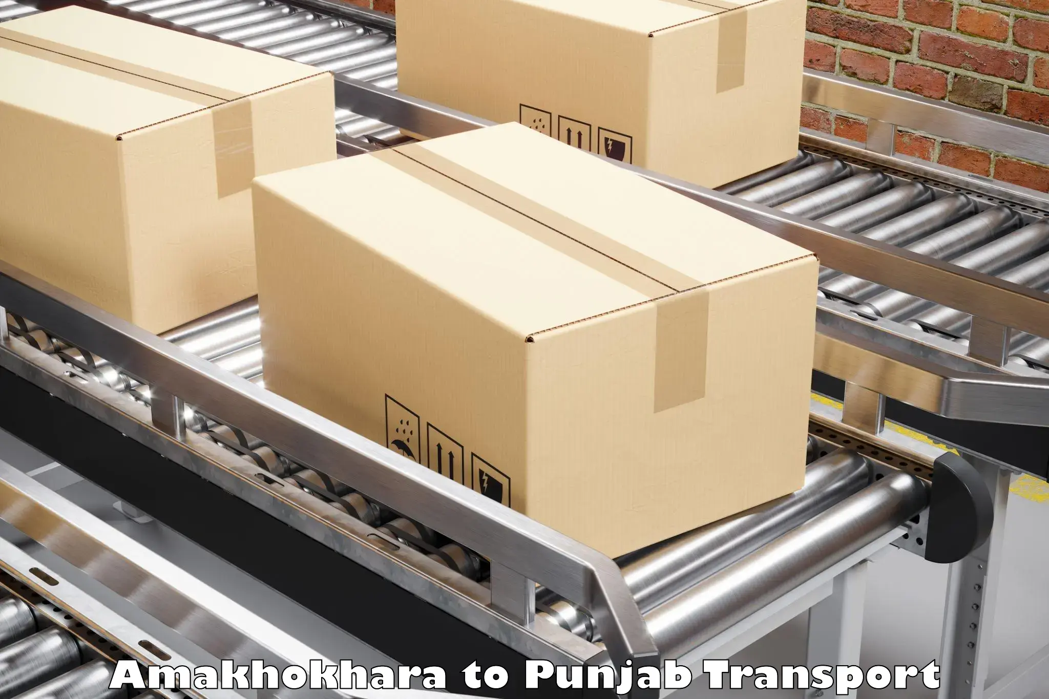 Container transport service Amakhokhara to Ludhiana