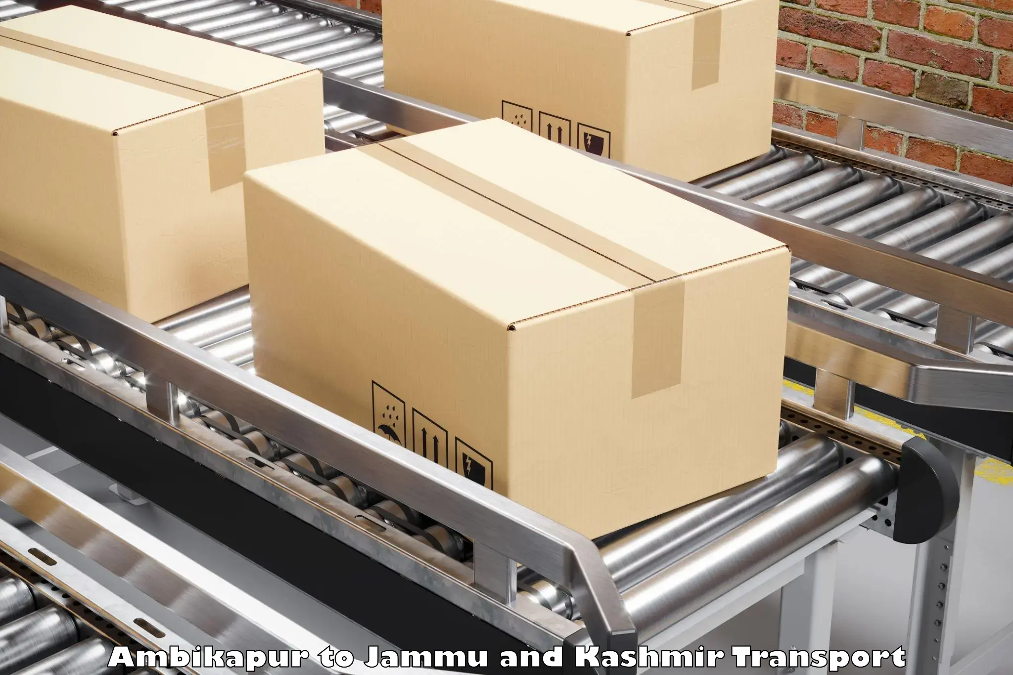 Cargo transportation services Ambikapur to Jammu