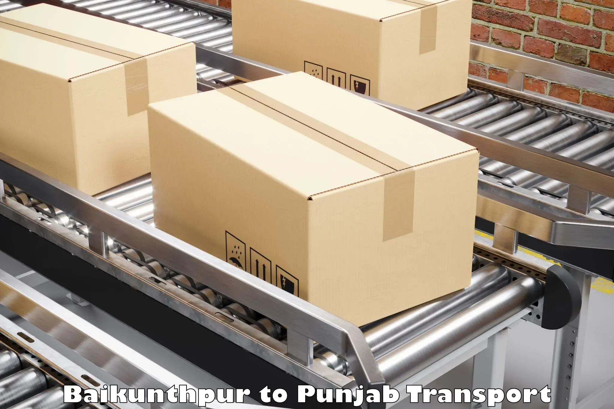 Container transport service Baikunthpur to Phagwara