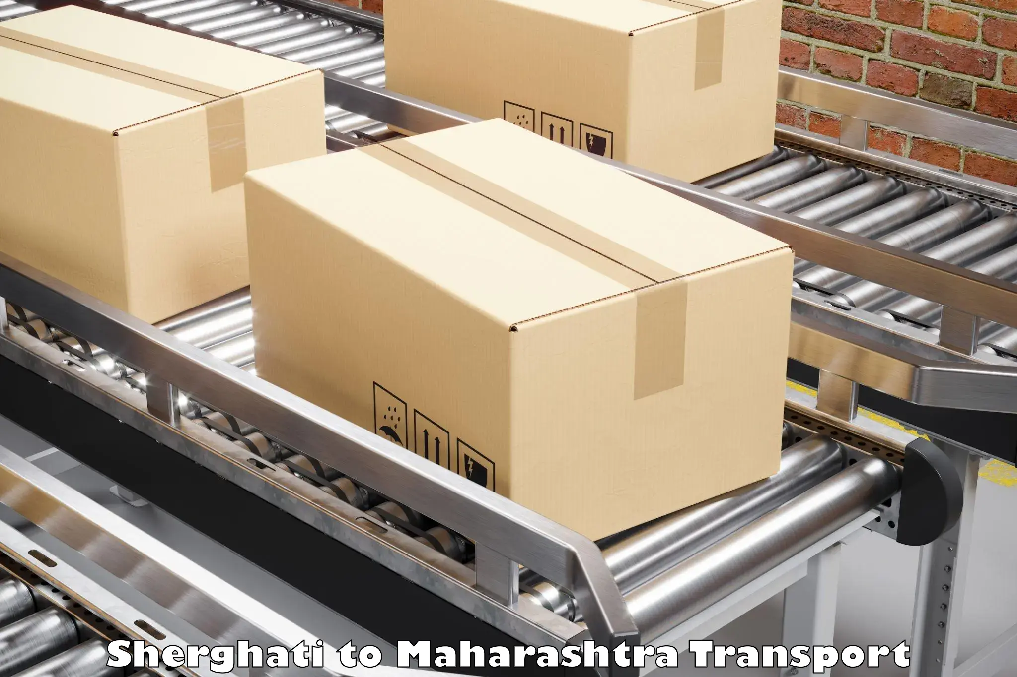 Air freight transport services Sherghati to Thane