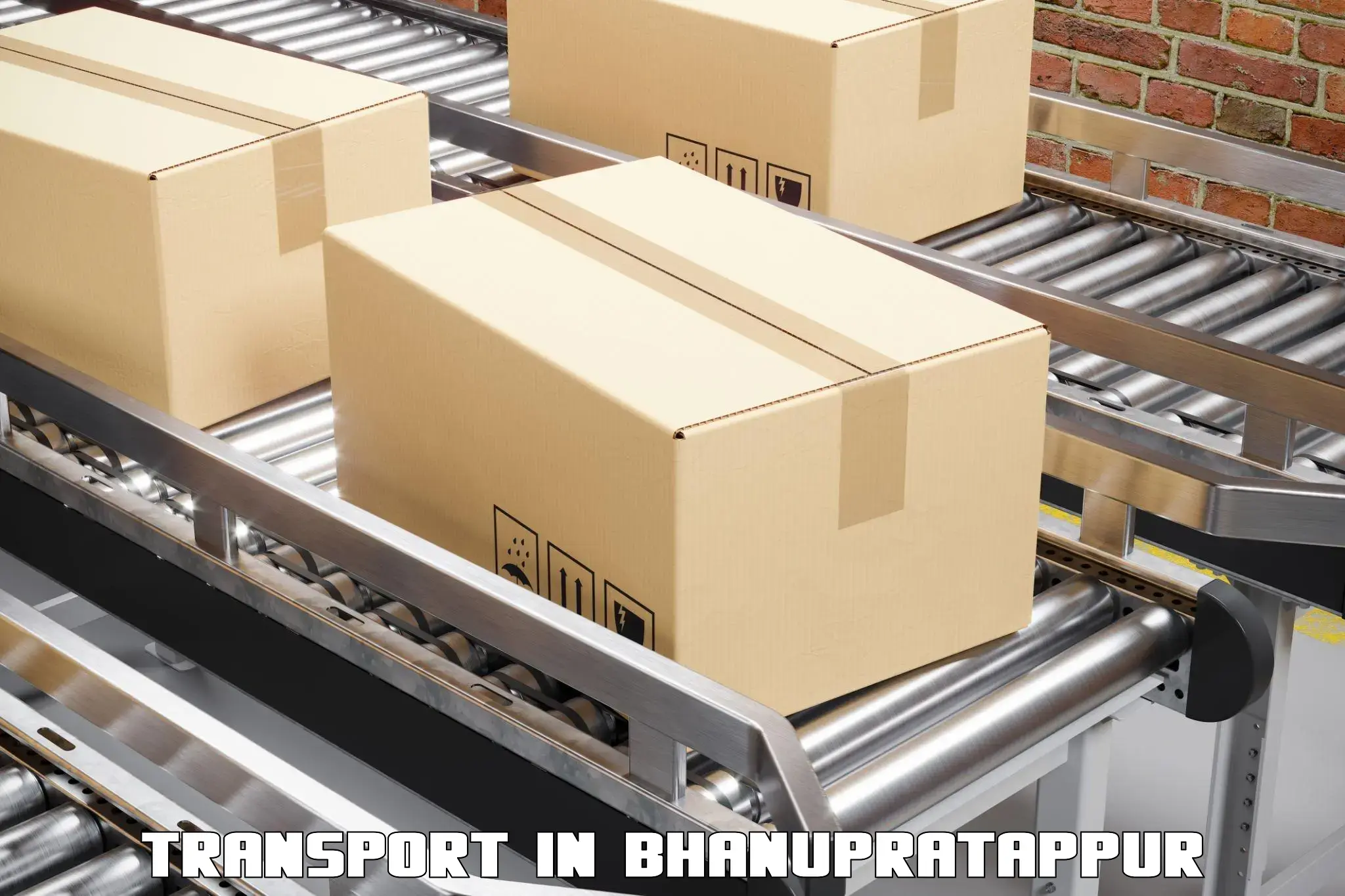Interstate goods transport in Bhanupratappur
