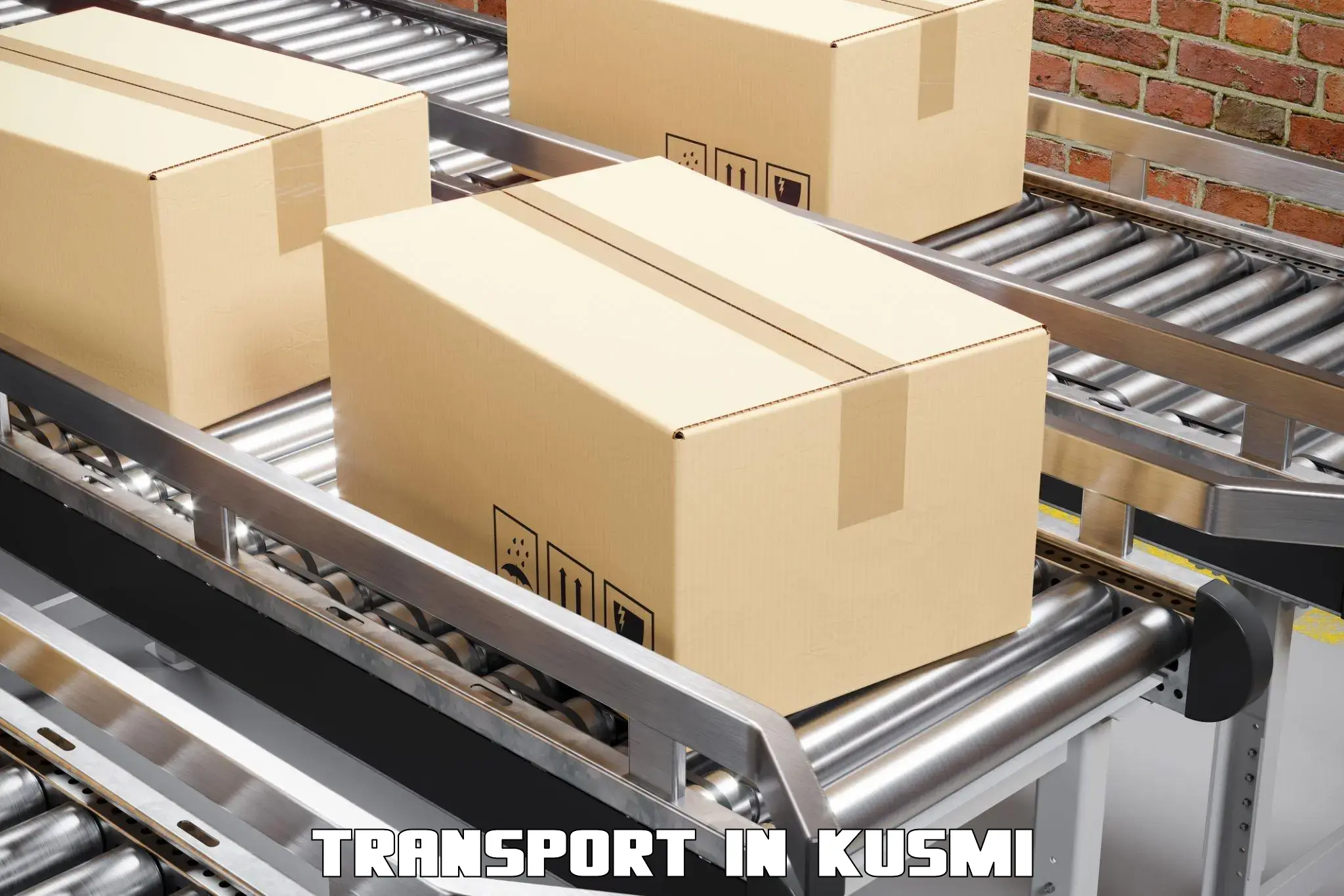 Delivery service in Kusmi