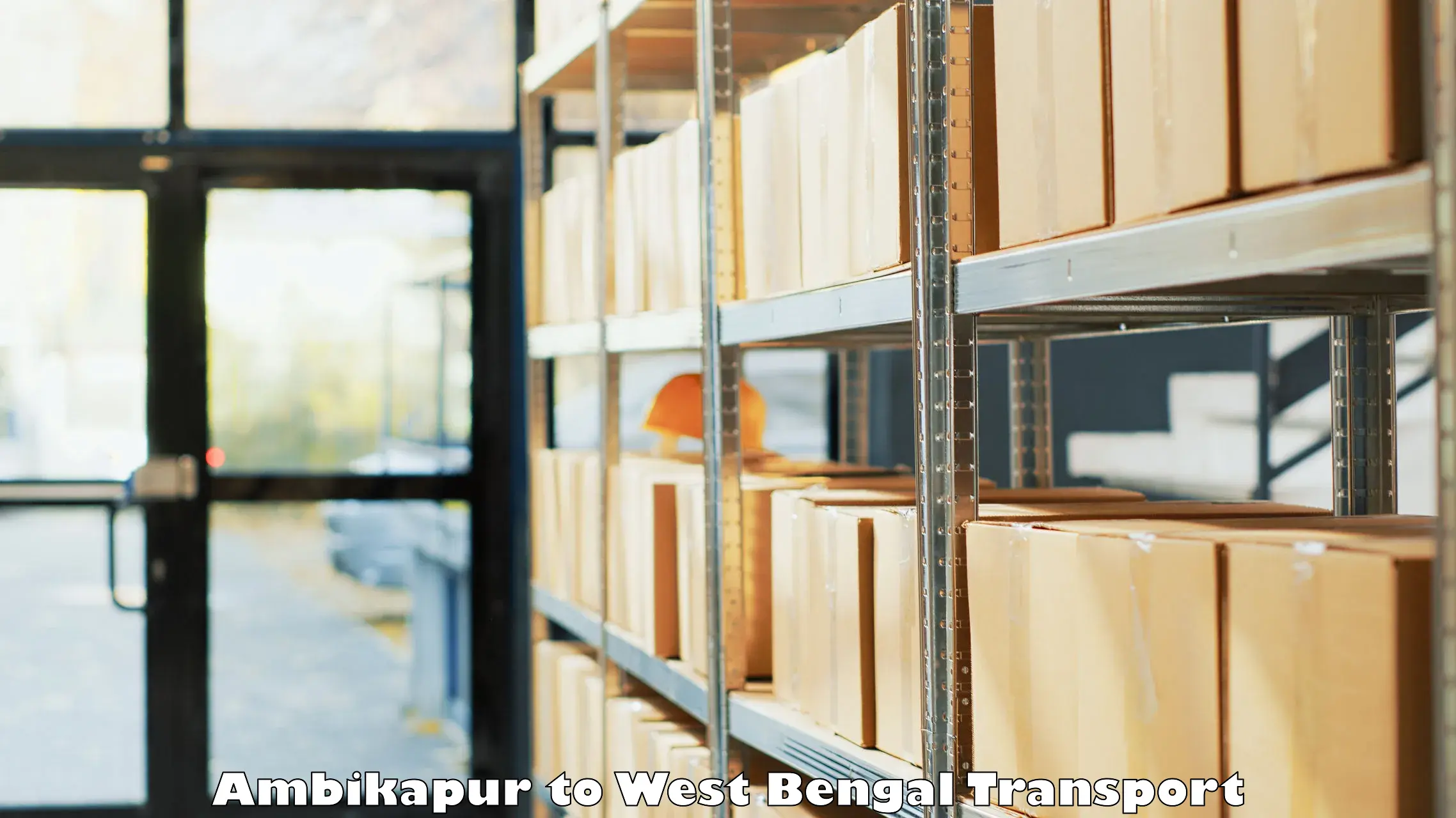 Cargo train transport services Ambikapur to Dakshin Dinajpur