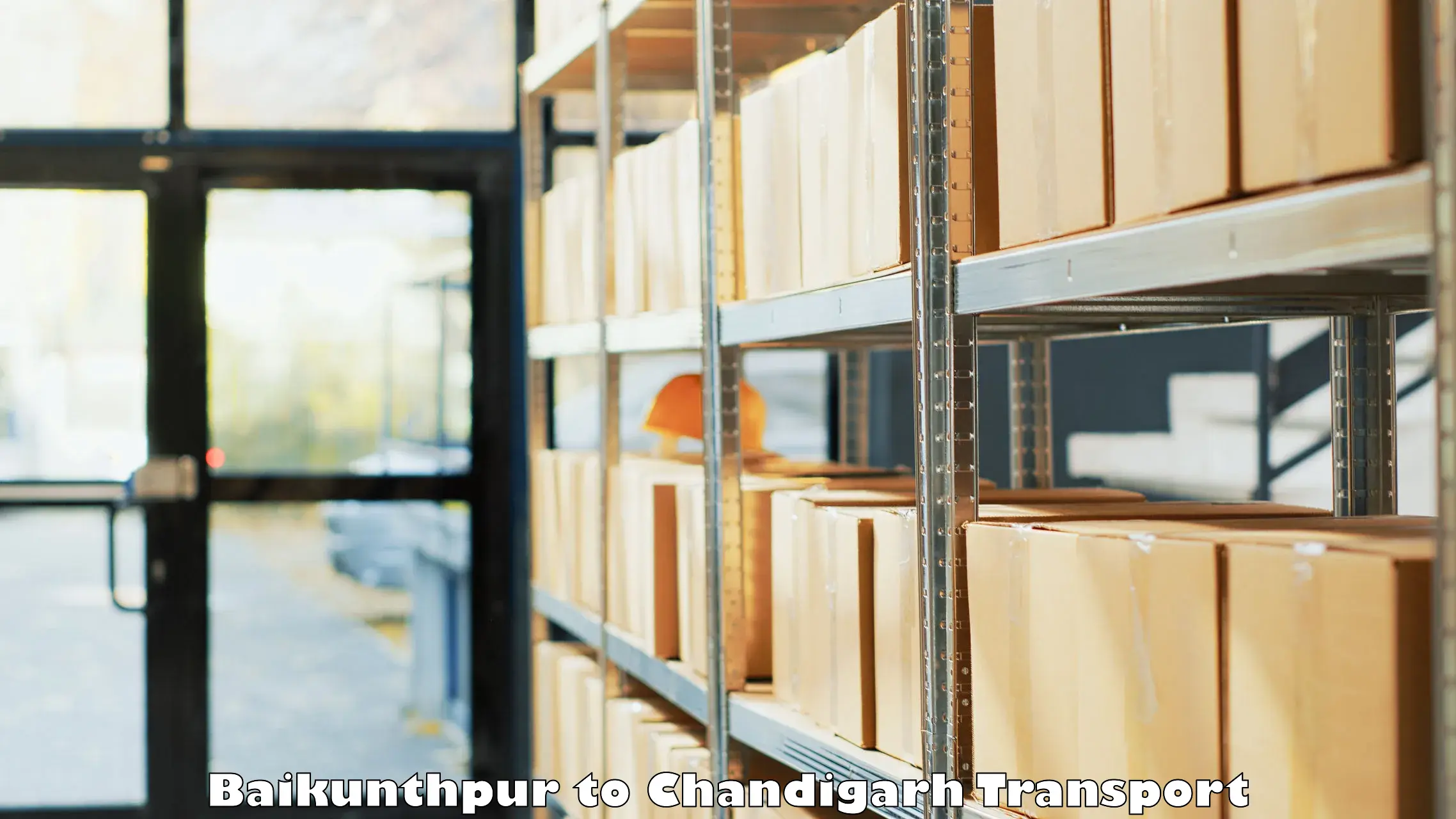 Truck transport companies in India Baikunthpur to Panjab University Chandigarh