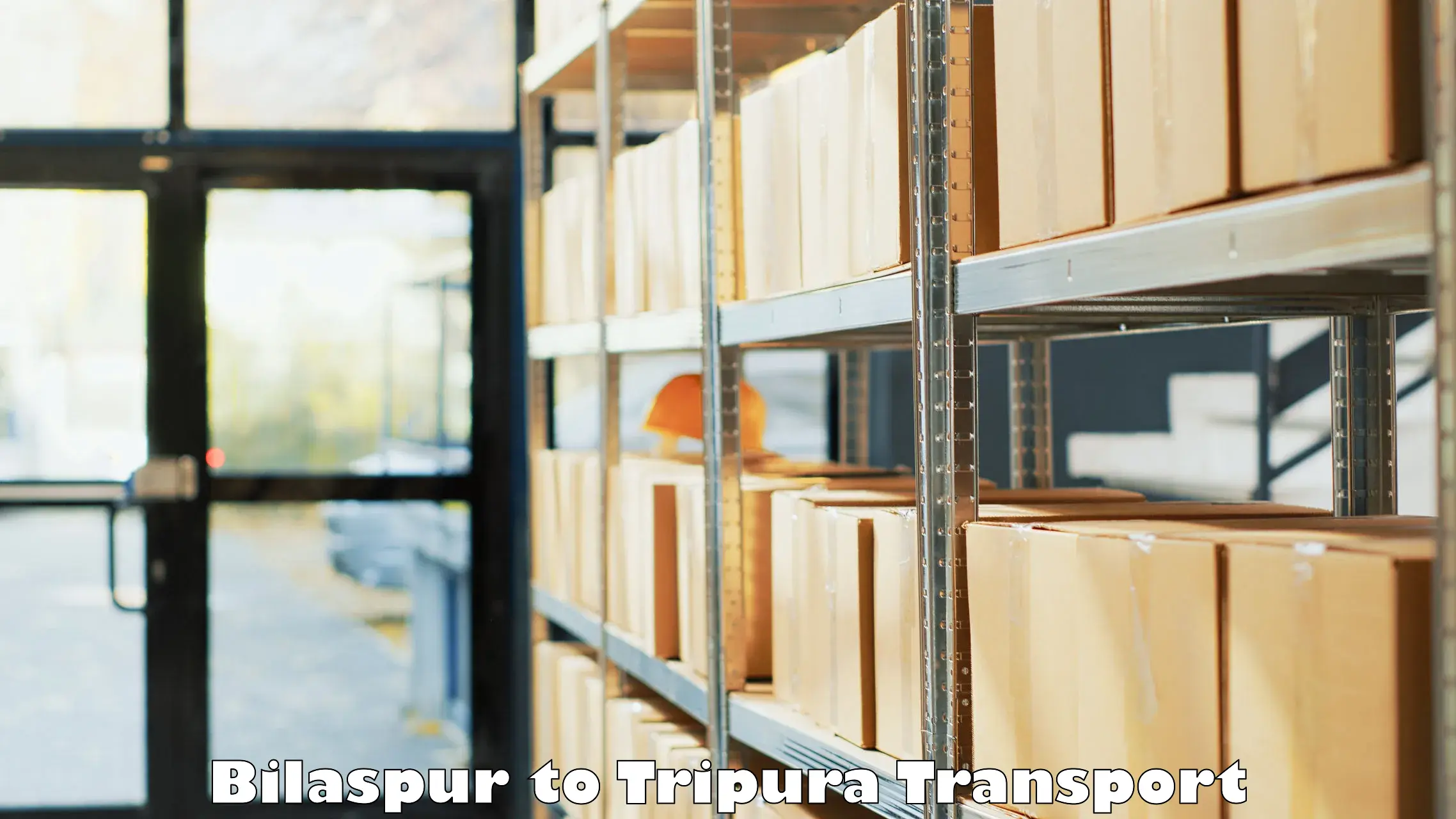 Door to door transport services Bilaspur to Bishalgarh