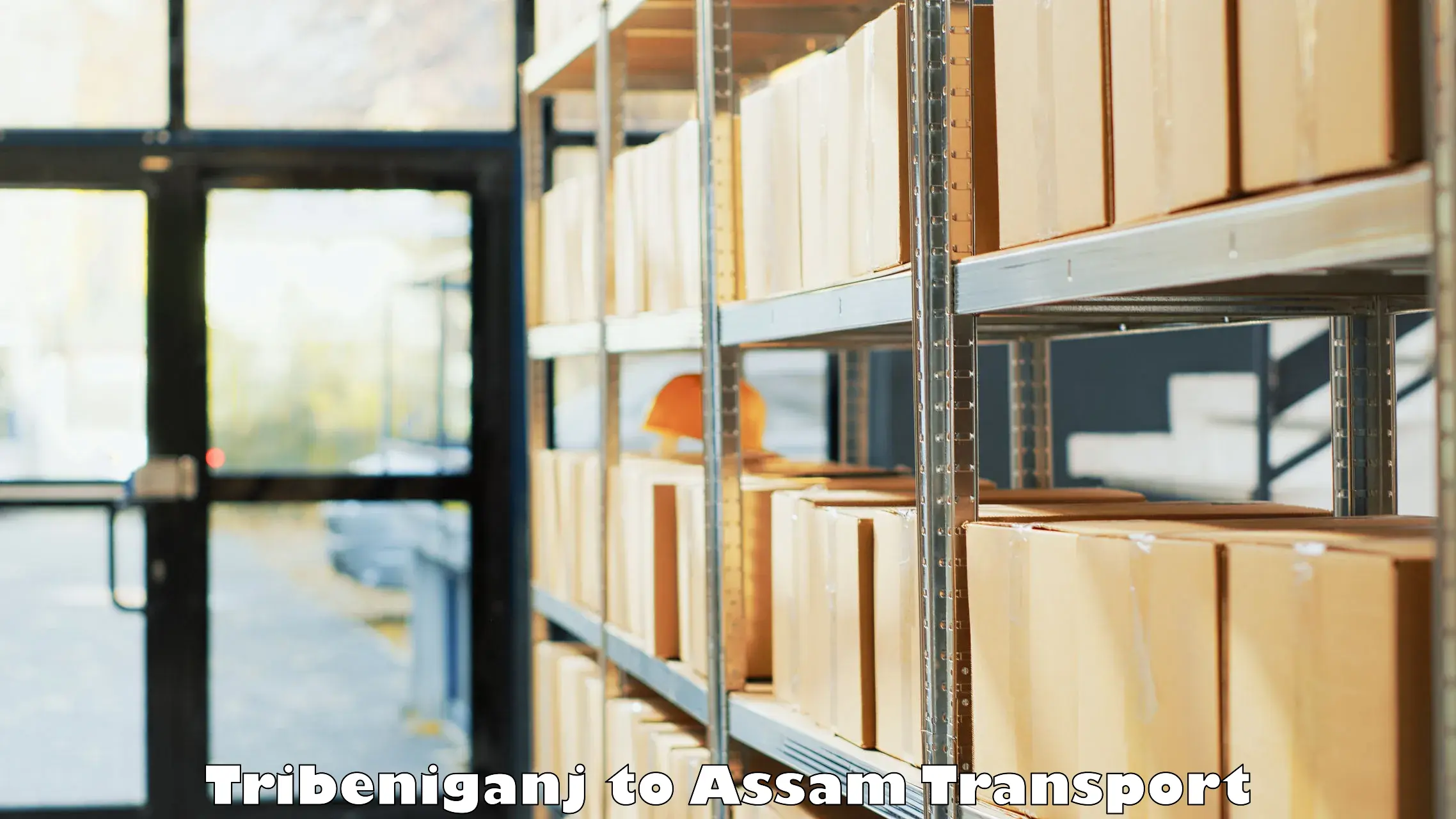 Container transport service Tribeniganj to Assam