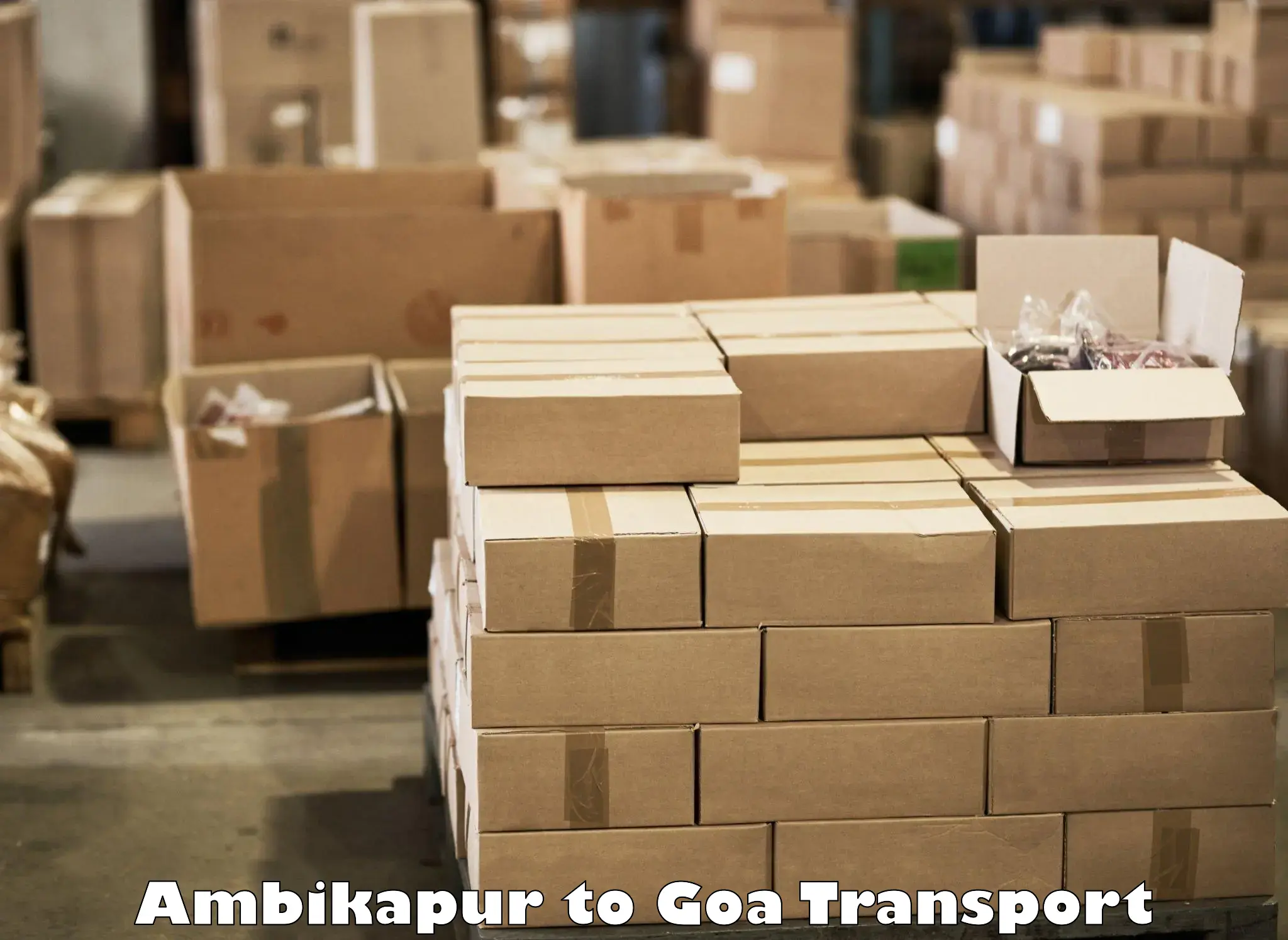 Daily transport service Ambikapur to Vasco da Gama