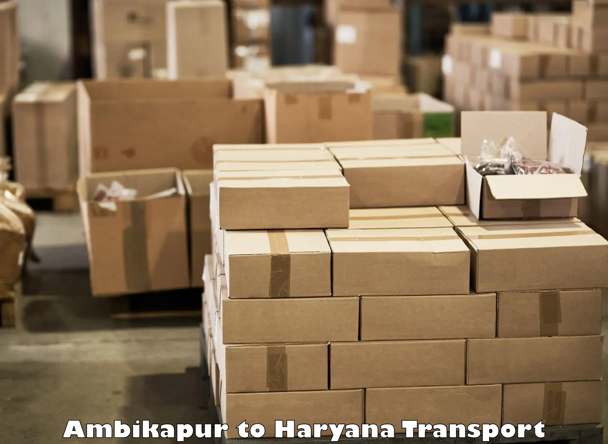 Vehicle parcel service Ambikapur to Panchkula