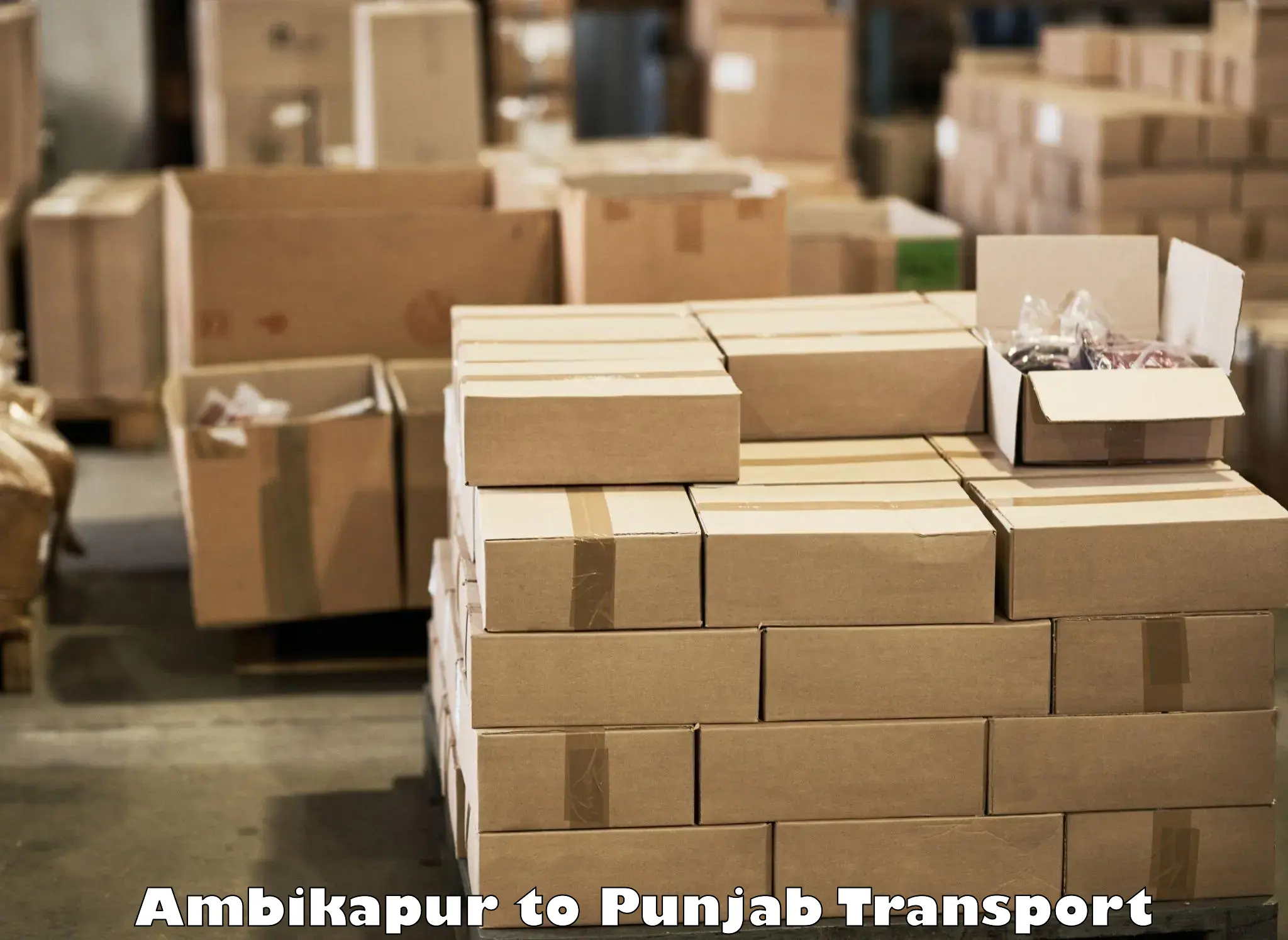 Bike shipping service Ambikapur to Sunam