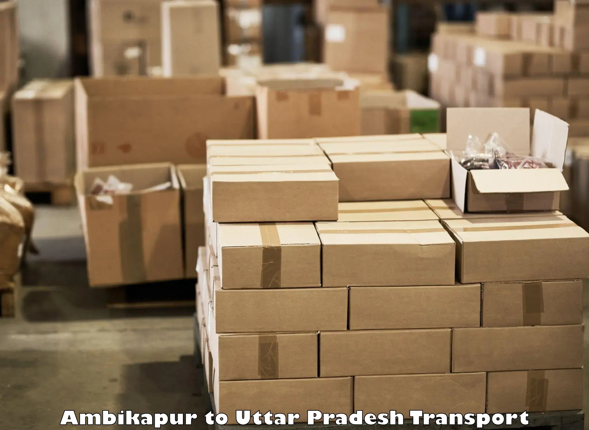 International cargo transportation services Ambikapur to Uttar Pradesh