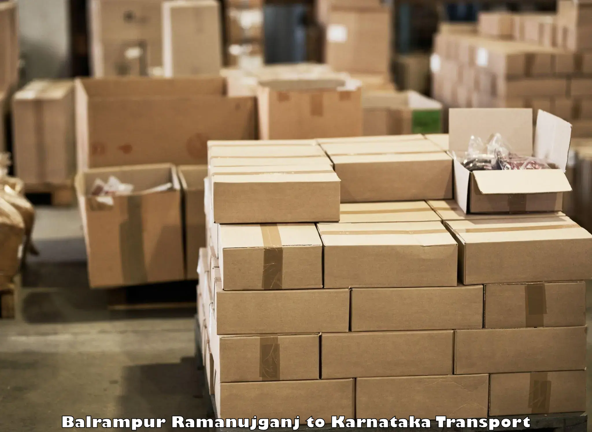 Cargo transport services Balrampur Ramanujganj to Karnataka