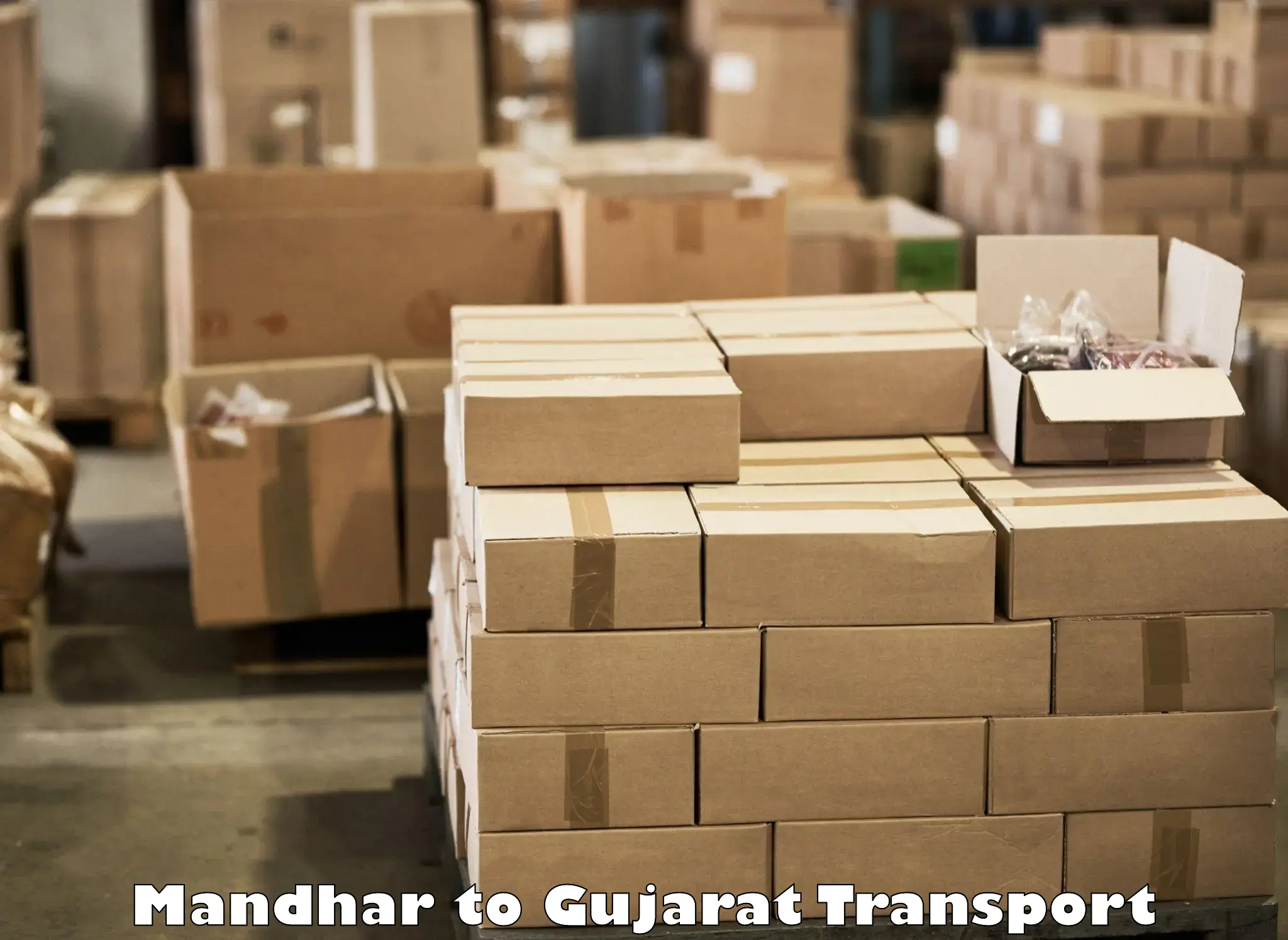 Air cargo transport services Mandhar to Vijapur