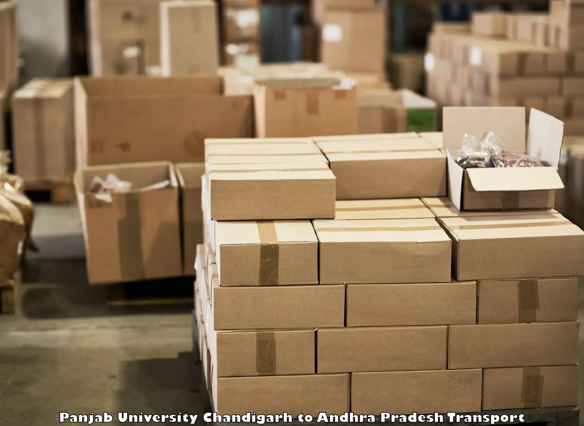 Cargo transport services in Panjab University Chandigarh to Pathapatnam