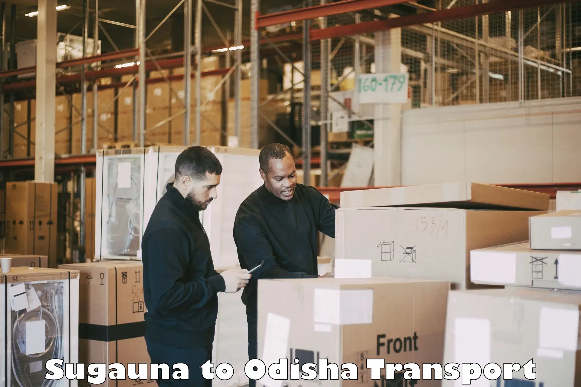 Material transport services Sugauna to Barbil