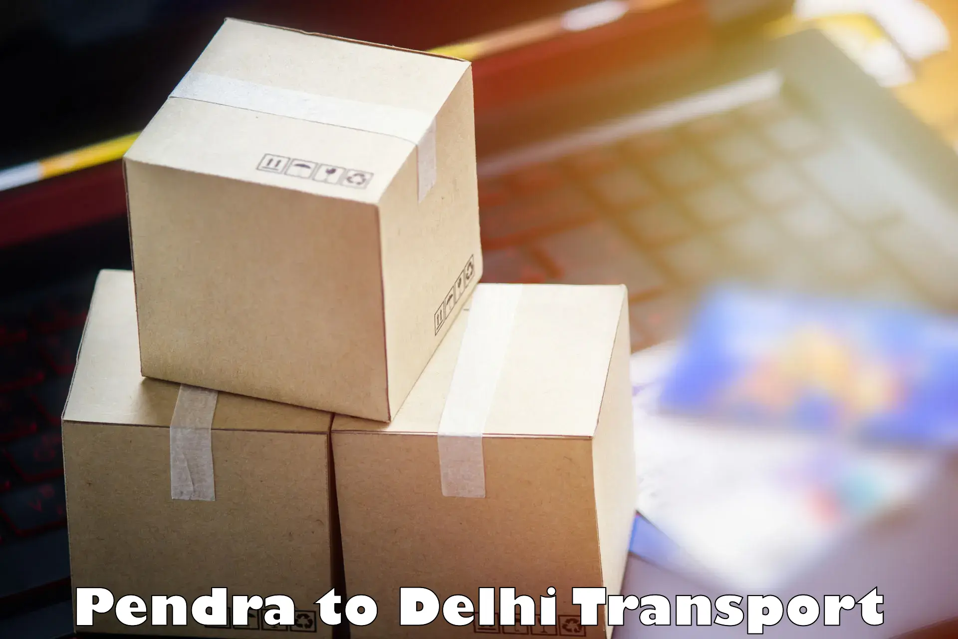 Container transport service Pendra to Delhi