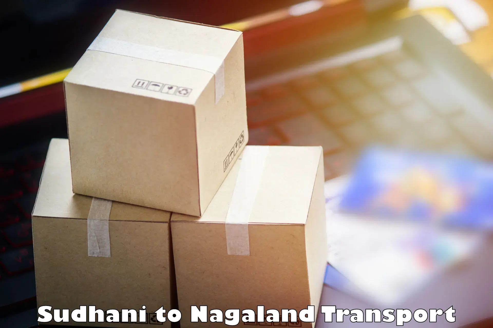 Interstate goods transport Sudhani to Longleng