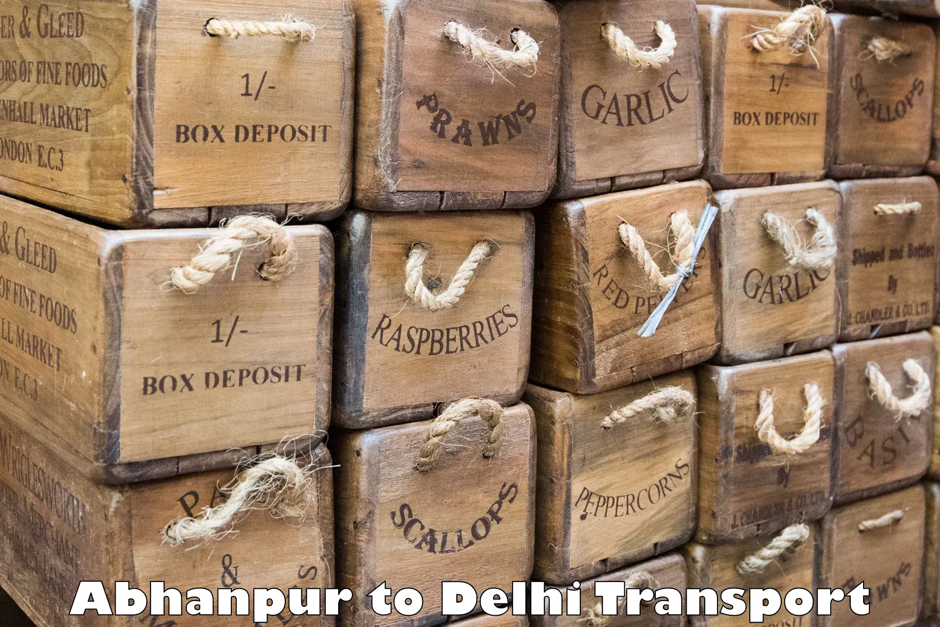 Container transport service Abhanpur to Ramesh Nagar