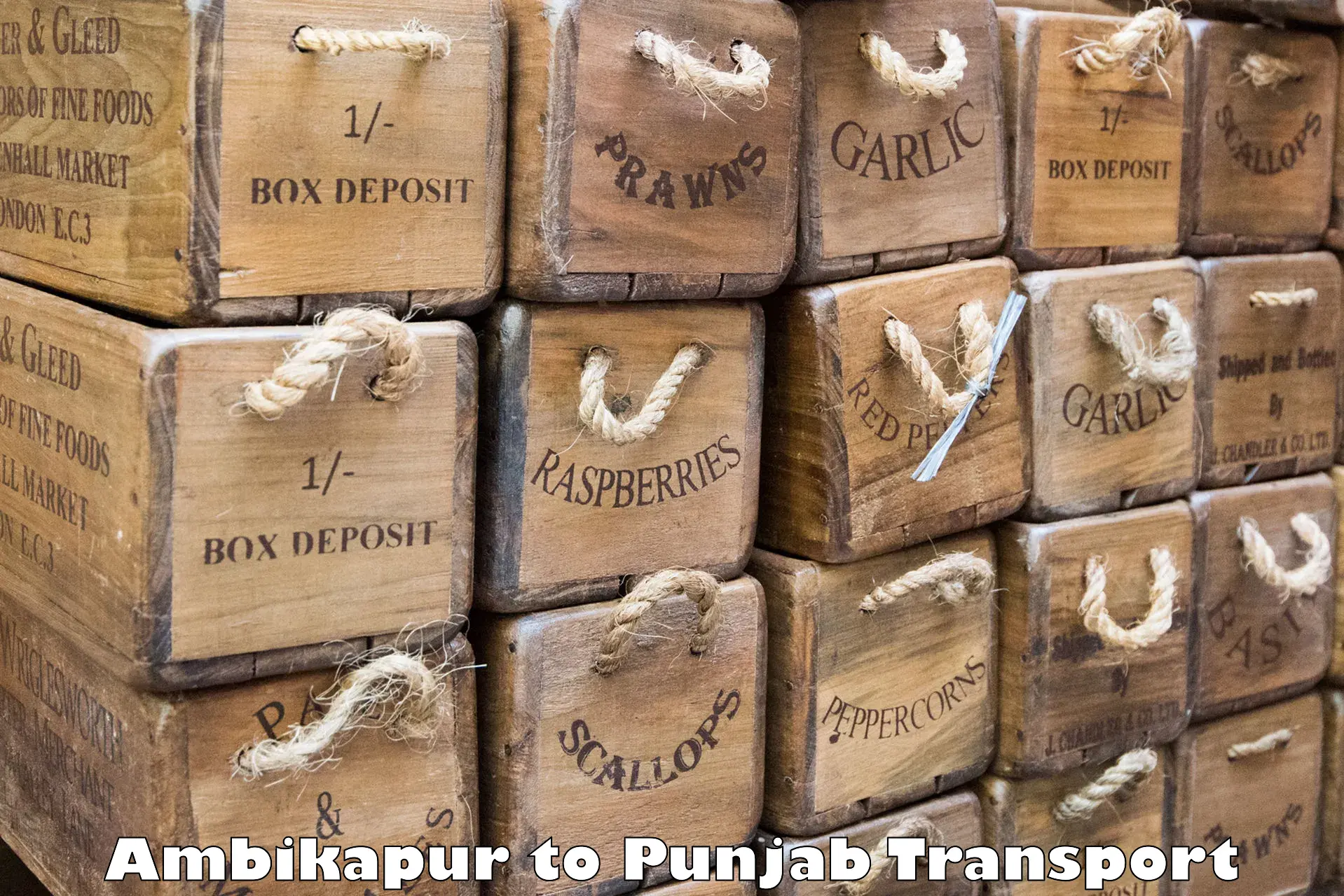 Container transport service Ambikapur to Tarsikka