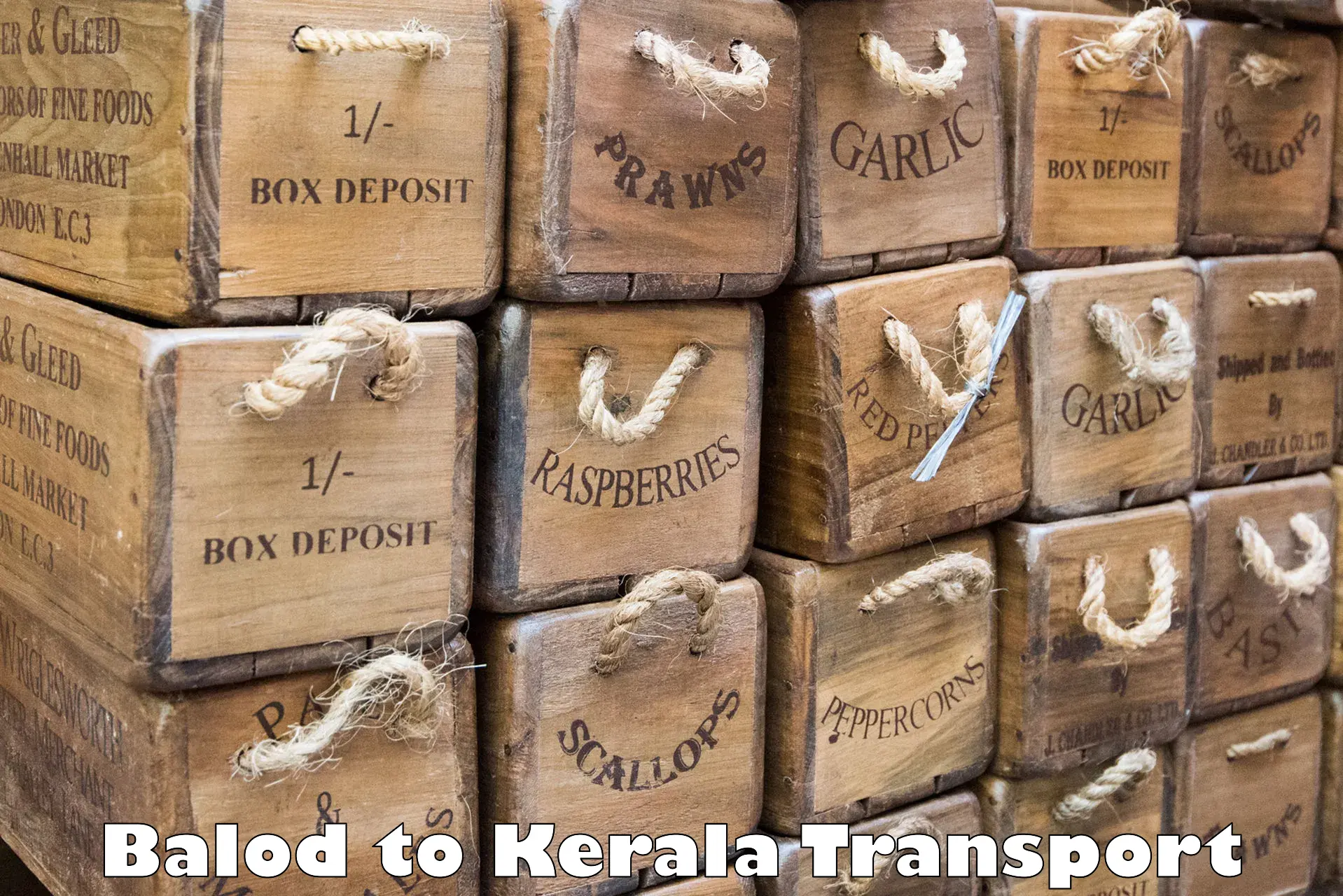 Air freight transport services Balod to Chengannur