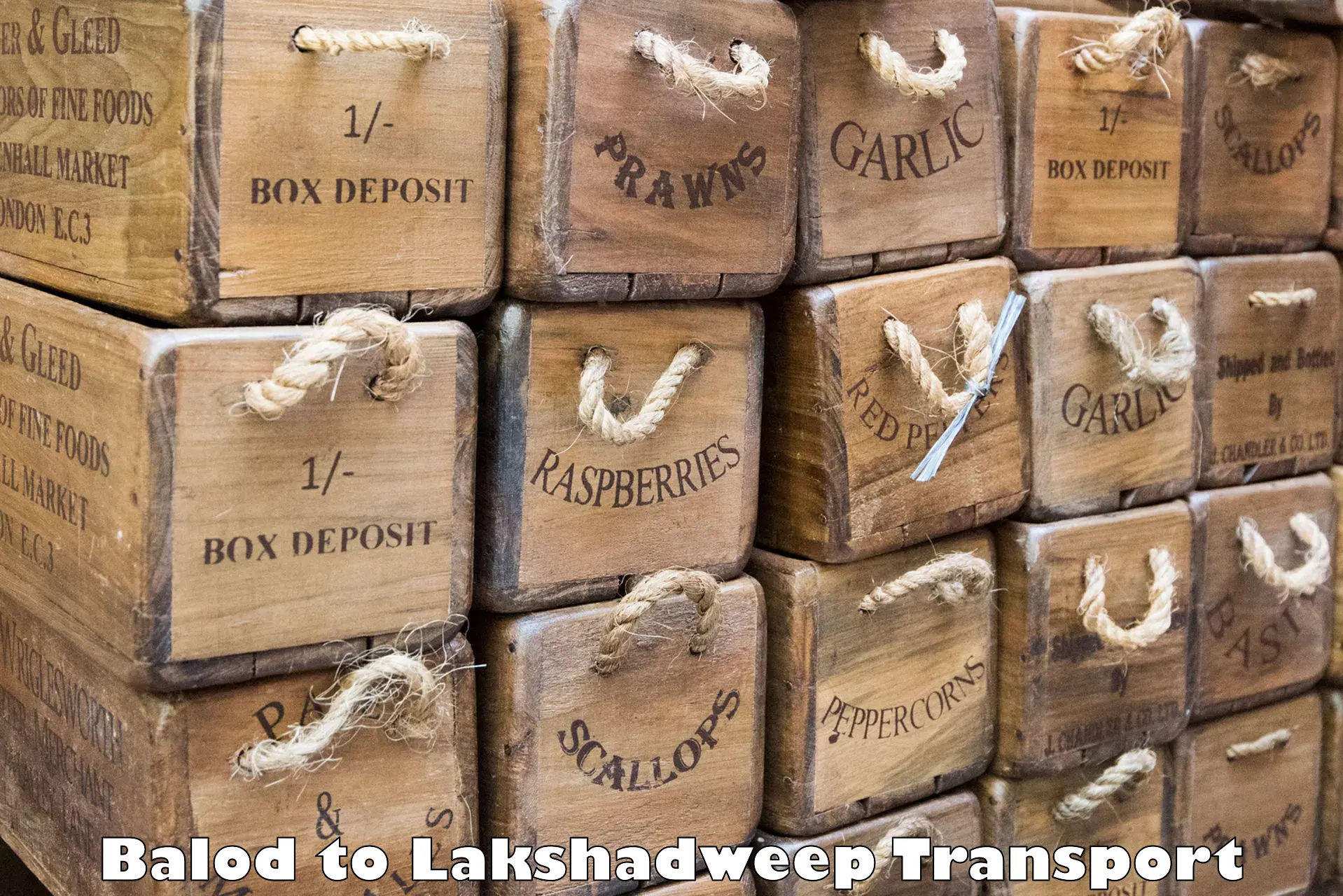 Two wheeler parcel service in Balod to Lakshadweep