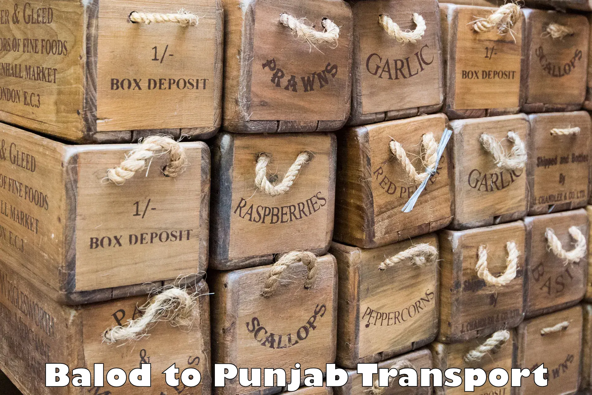 Cargo train transport services Balod to Ropar