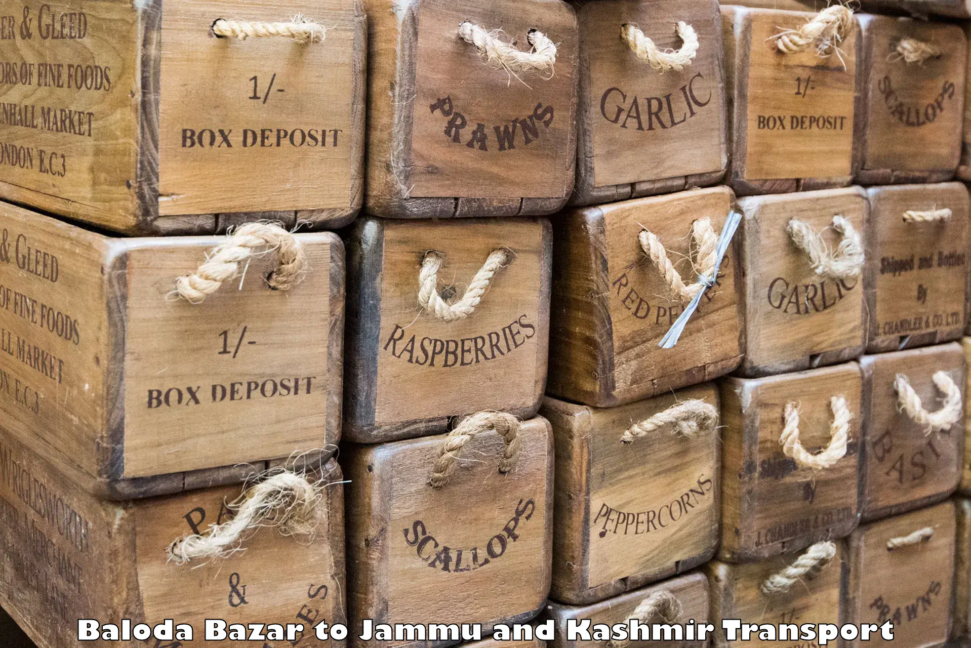 Shipping partner Baloda Bazar to Srinagar Kashmir