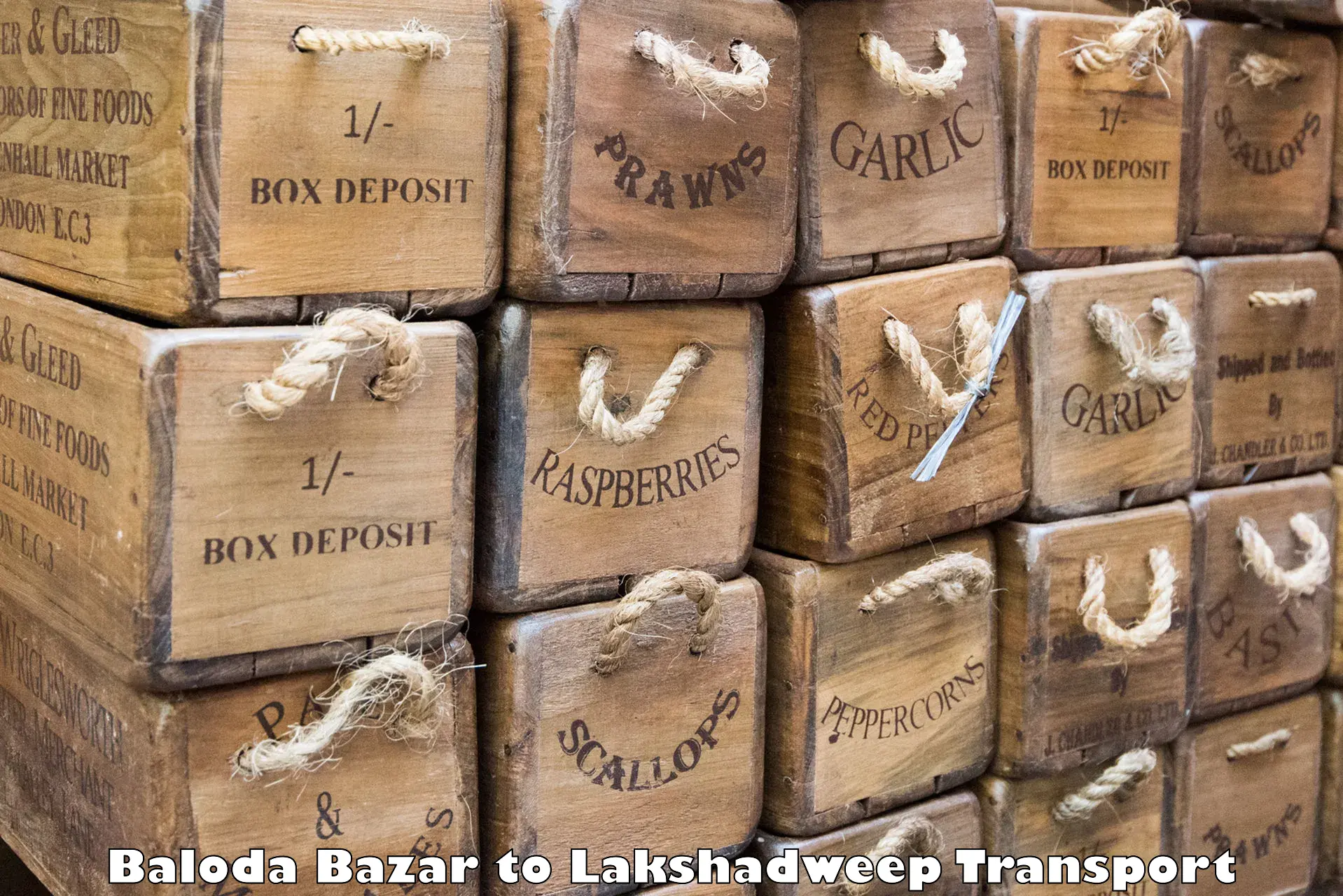 Daily parcel service transport in Baloda Bazar to Lakshadweep