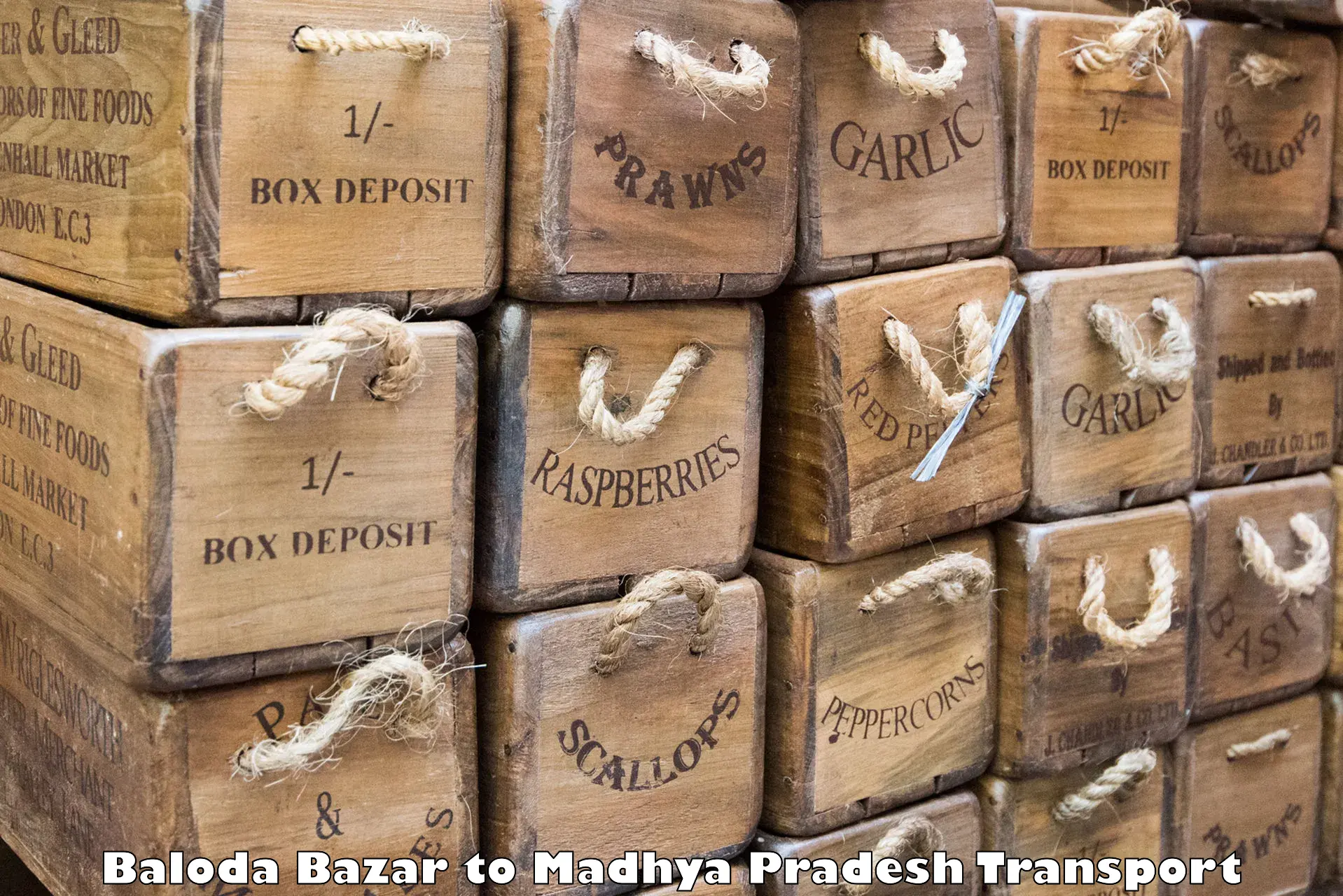 Part load transport service in India Baloda Bazar to Datia