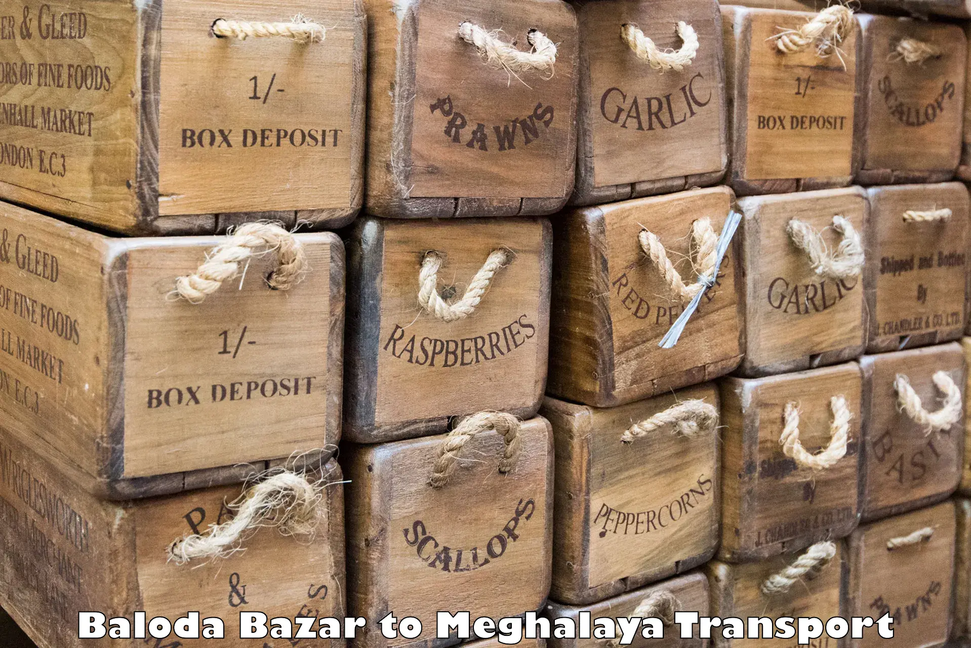 India truck logistics services Baloda Bazar to Cherrapunji