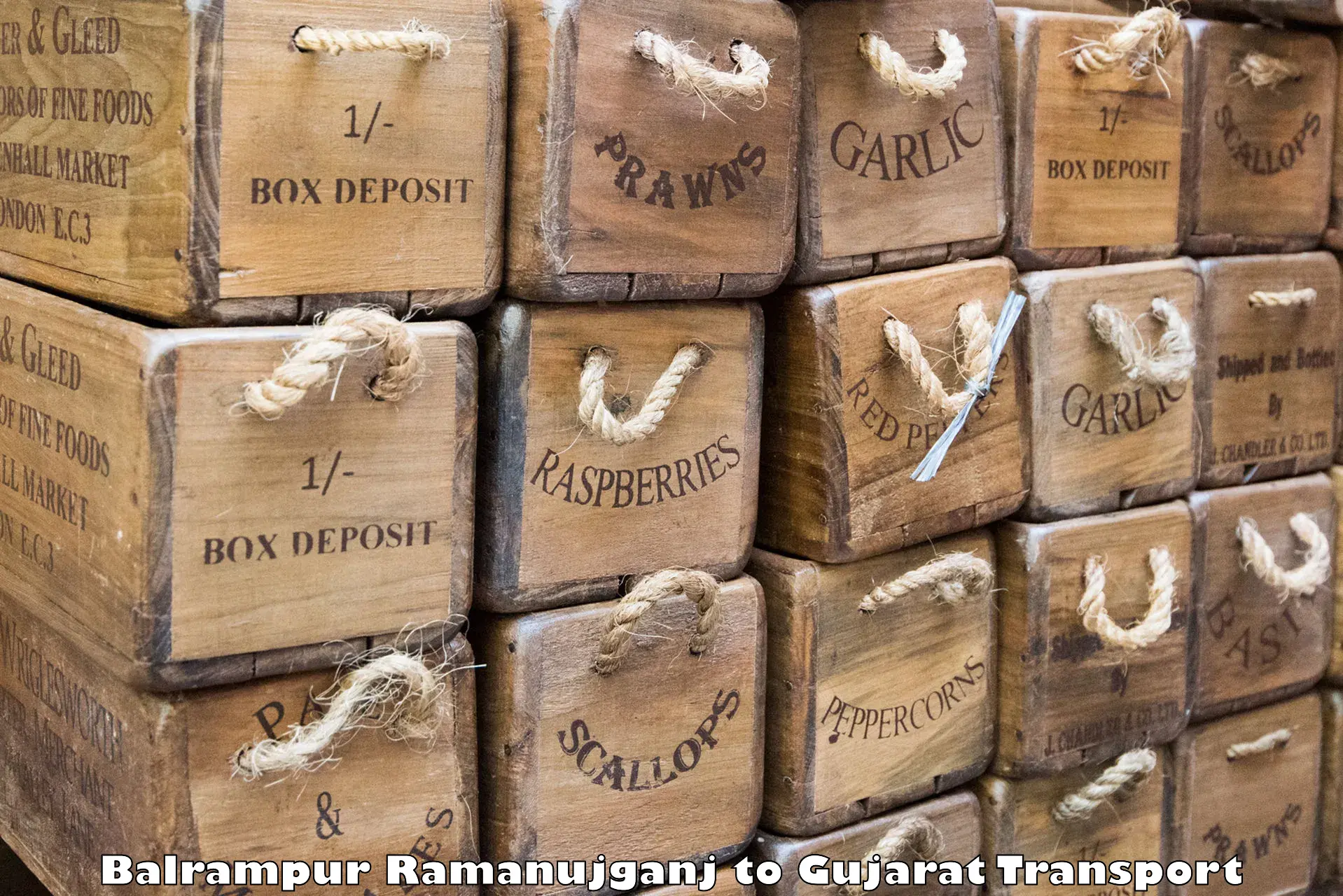 Material transport services Balrampur Ramanujganj to Rajkot