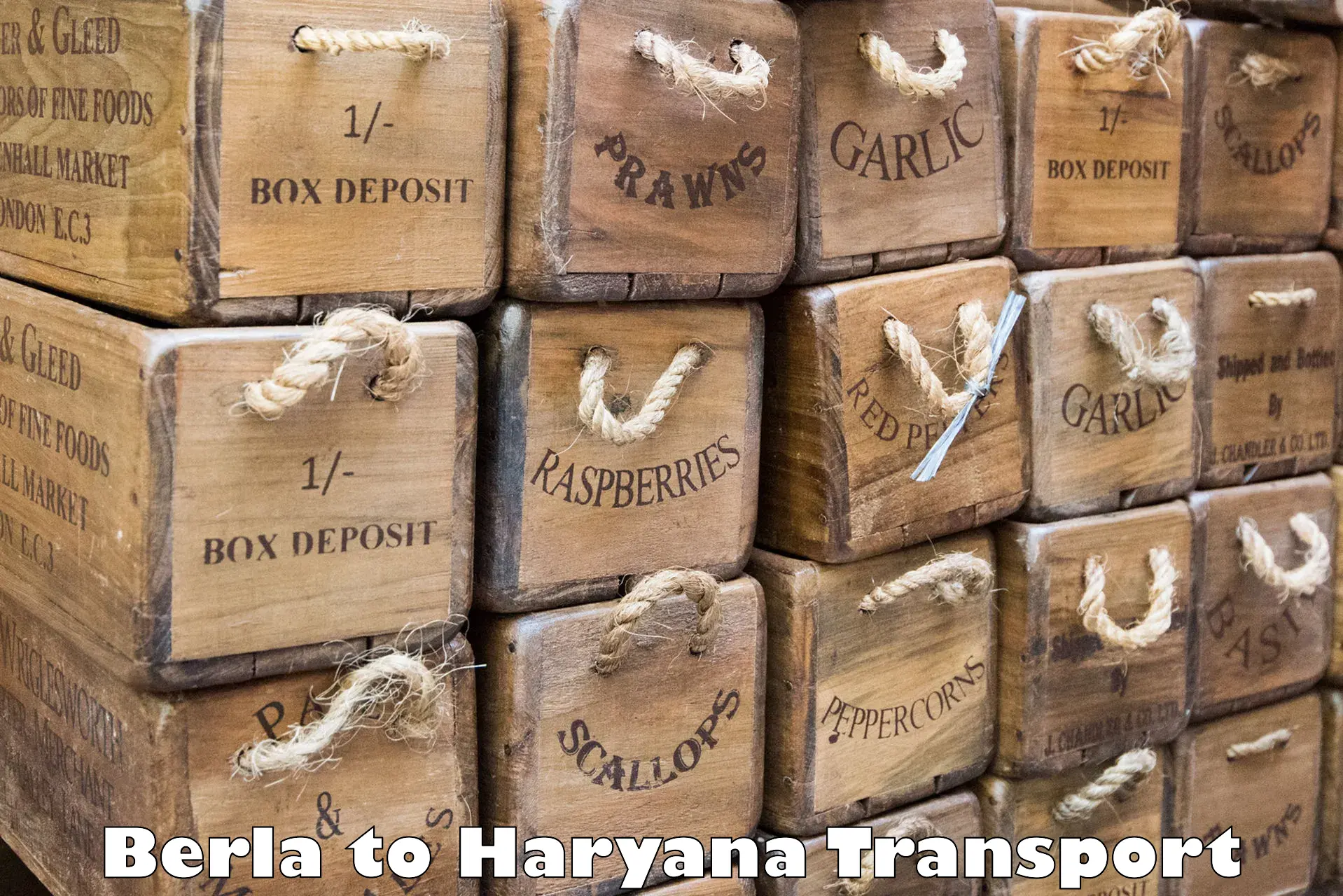 Goods delivery service Berla to Faridabad