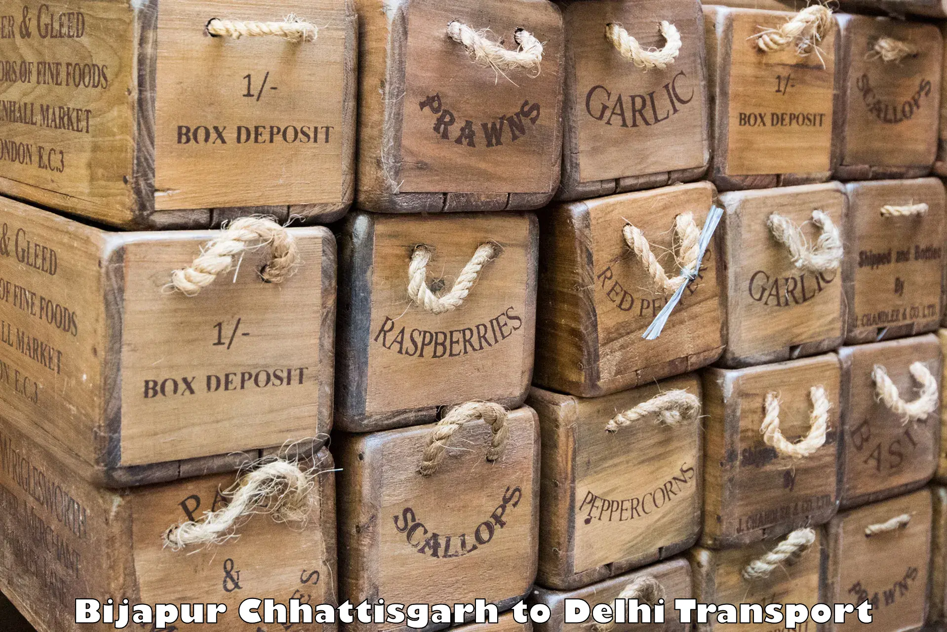 All India transport service Bijapur Chhattisgarh to Delhi