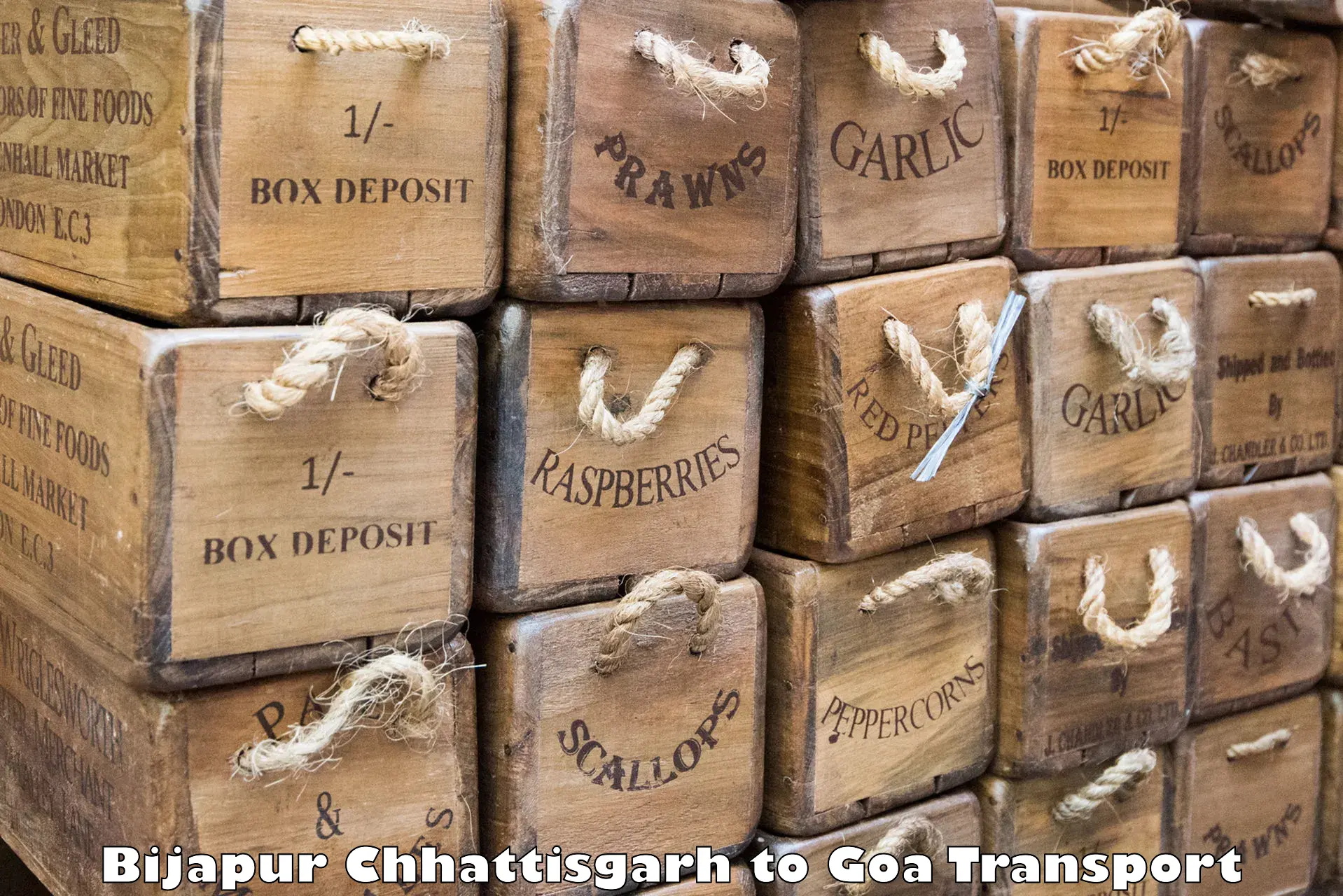 Interstate transport services Bijapur Chhattisgarh to Bicholim