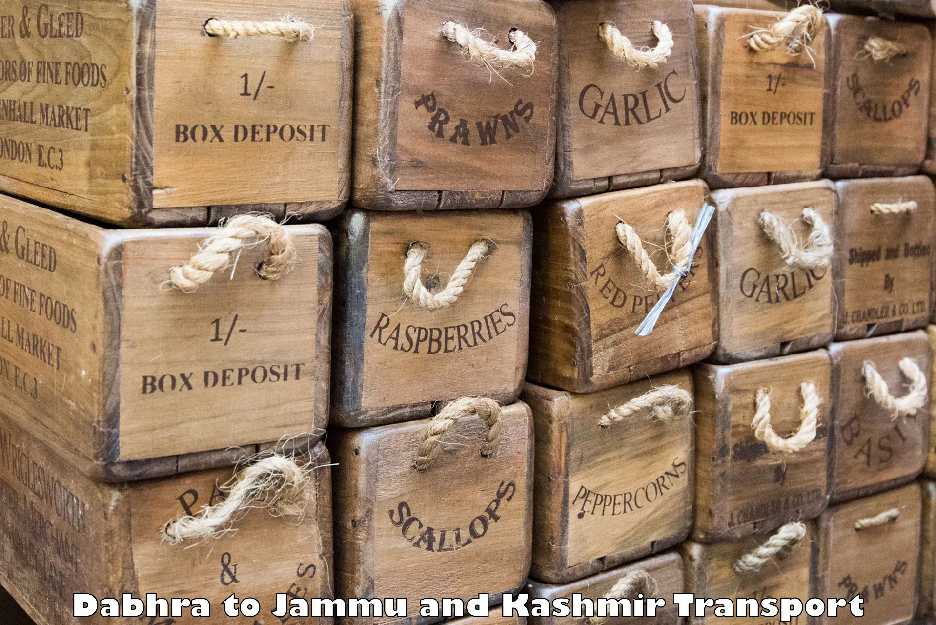 India truck logistics services Dabhra to Srinagar Kashmir