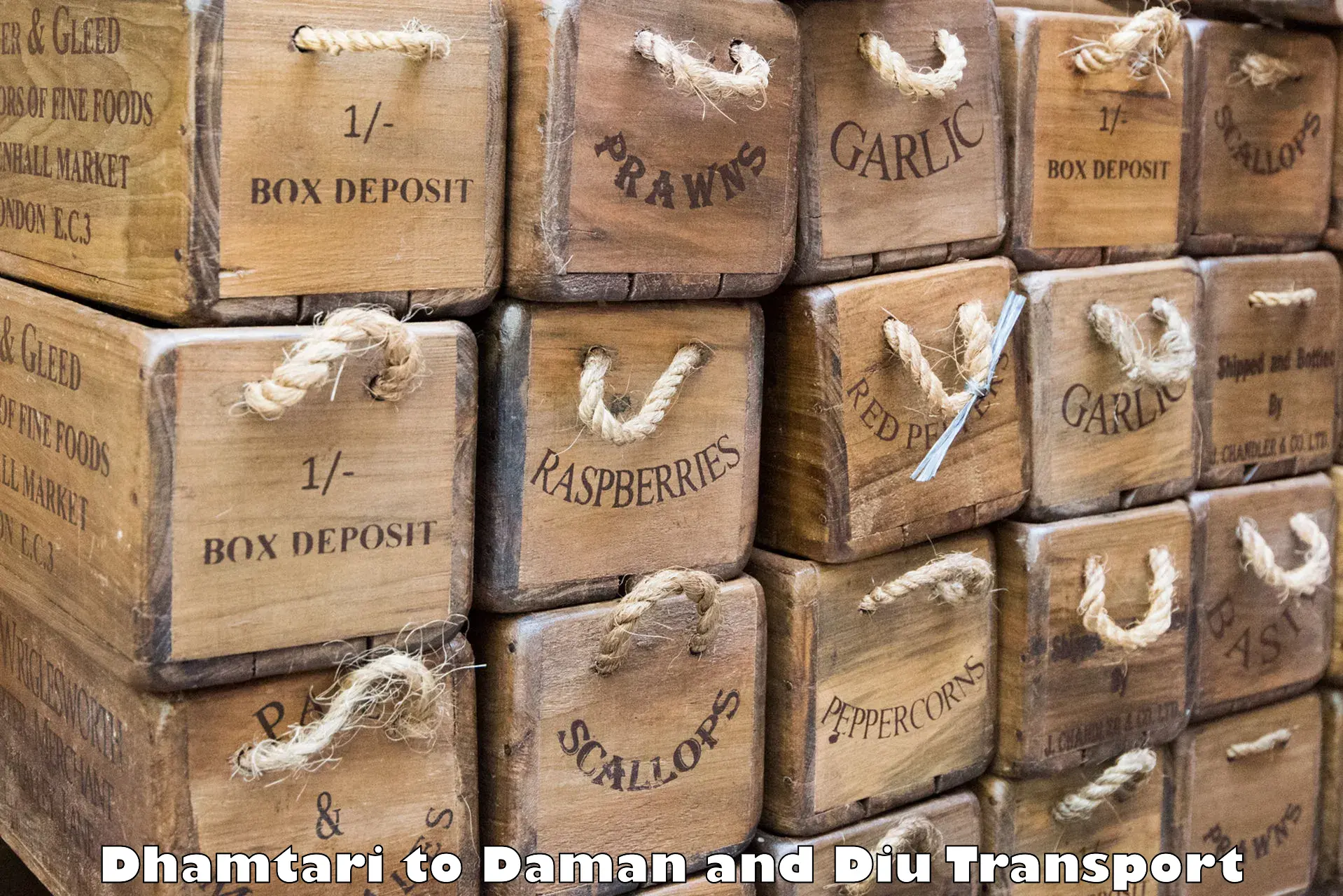 Interstate goods transport Dhamtari to Daman and Diu
