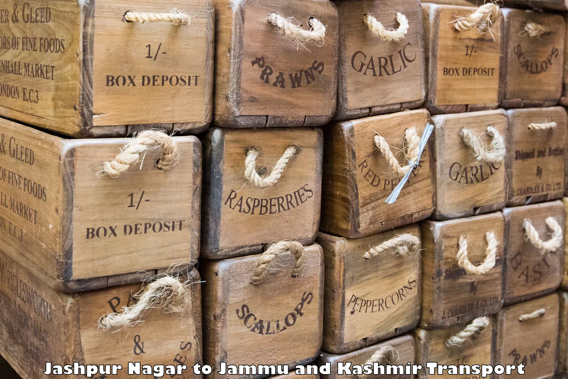 International cargo transportation services Jashpur Nagar to Ranbir Singh Pura
