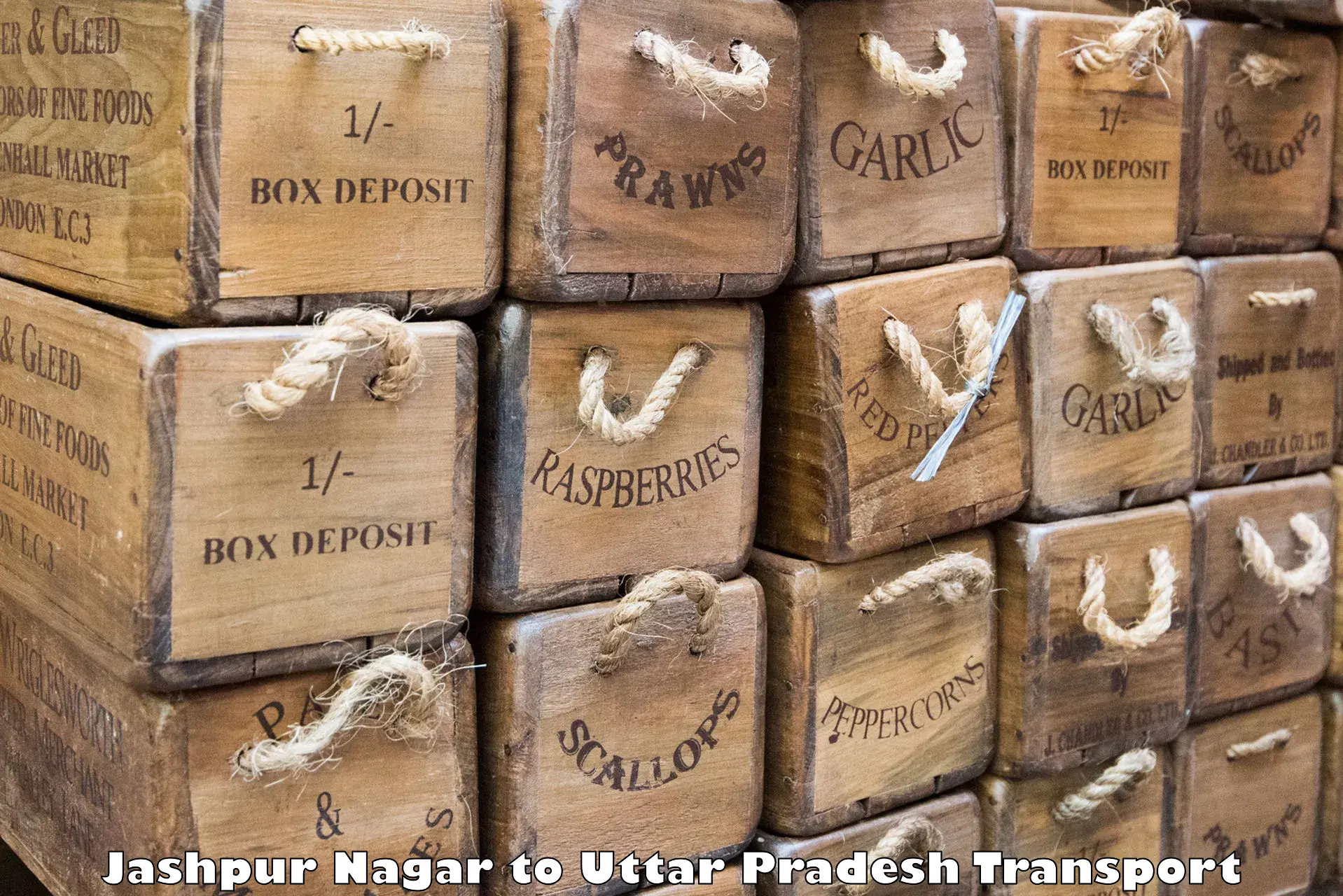 Luggage transport services Jashpur Nagar to Uttar Pradesh