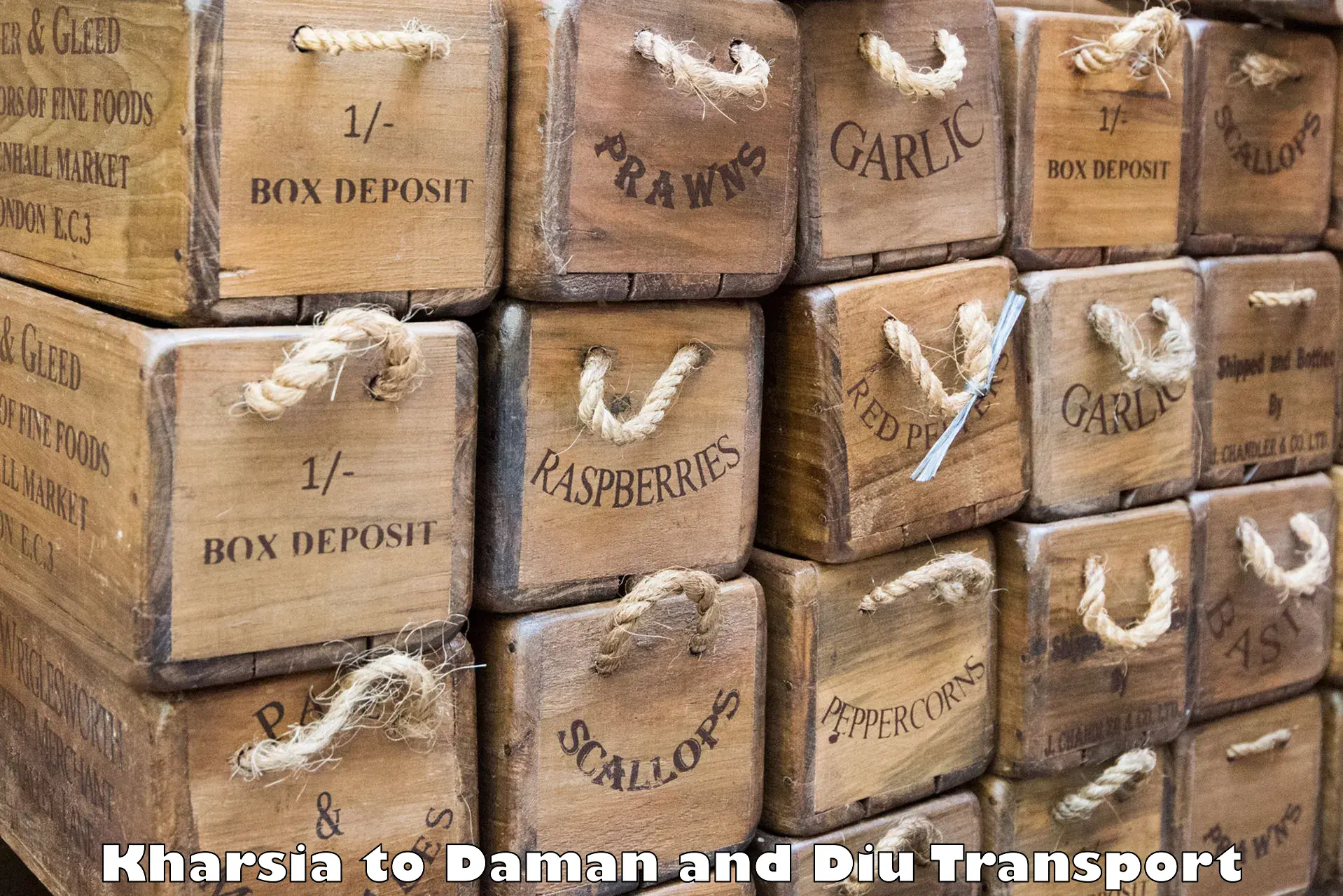 Air freight transport services Kharsia to Daman and Diu