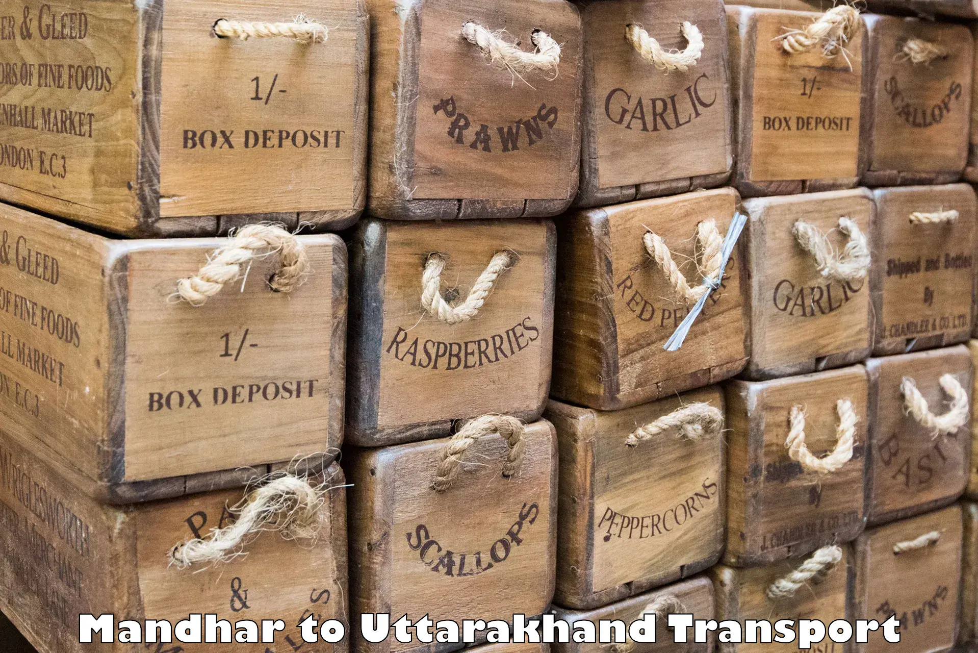 Cargo train transport services in Mandhar to Haldwani