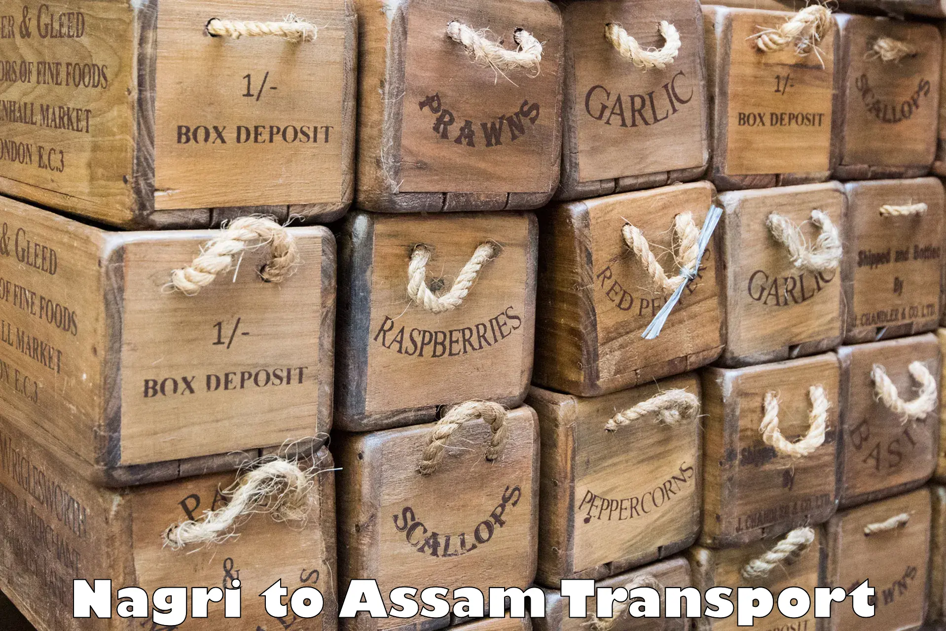 Nearest transport service Nagri to Assam