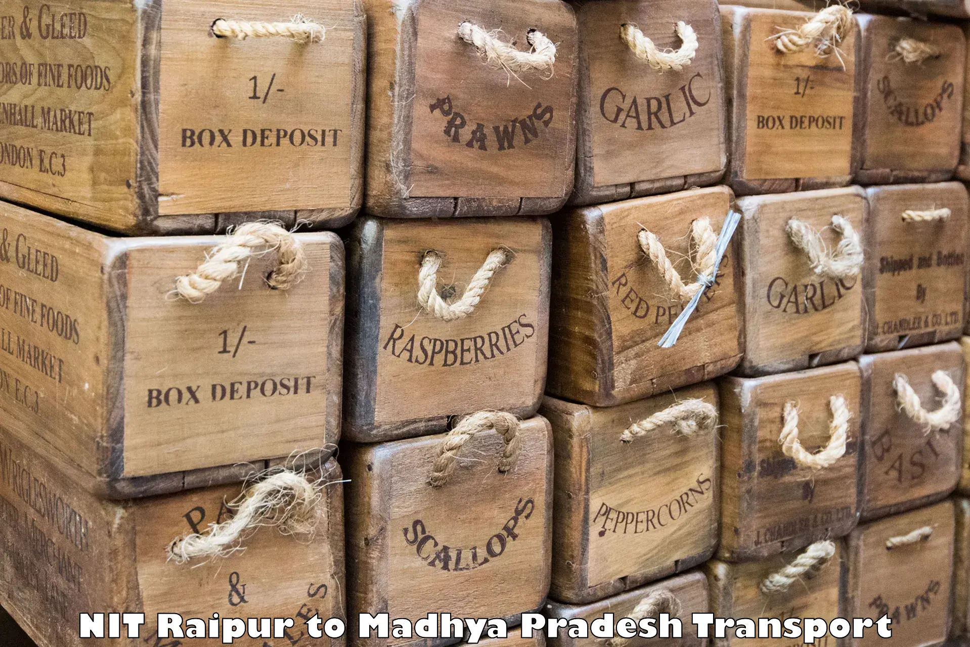 Online transport NIT Raipur to Banda Sagar