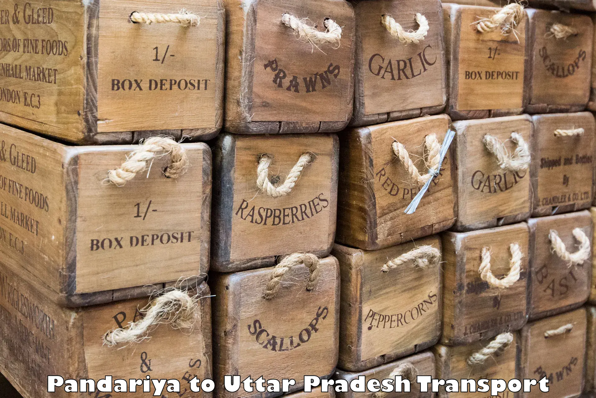 Two wheeler parcel service Pandariya to Varanasi