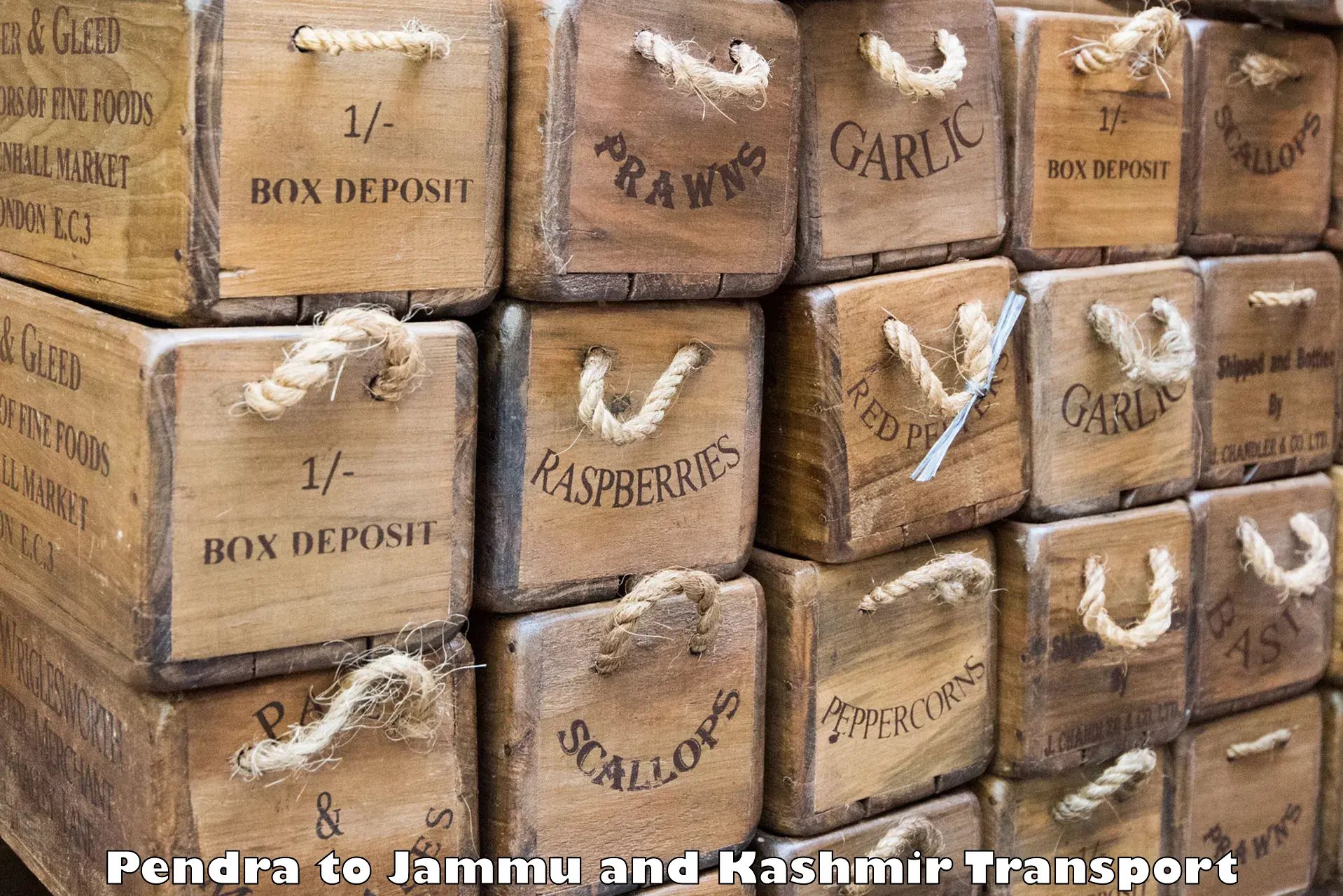 Delivery service Pendra to Pulwama