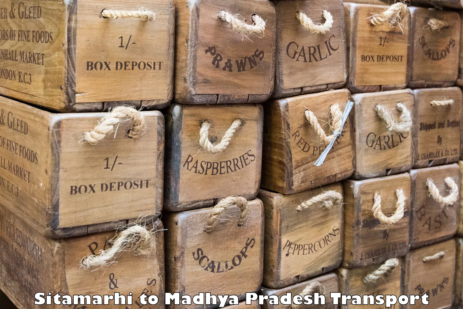 Container transportation services Sitamarhi to Khargone
