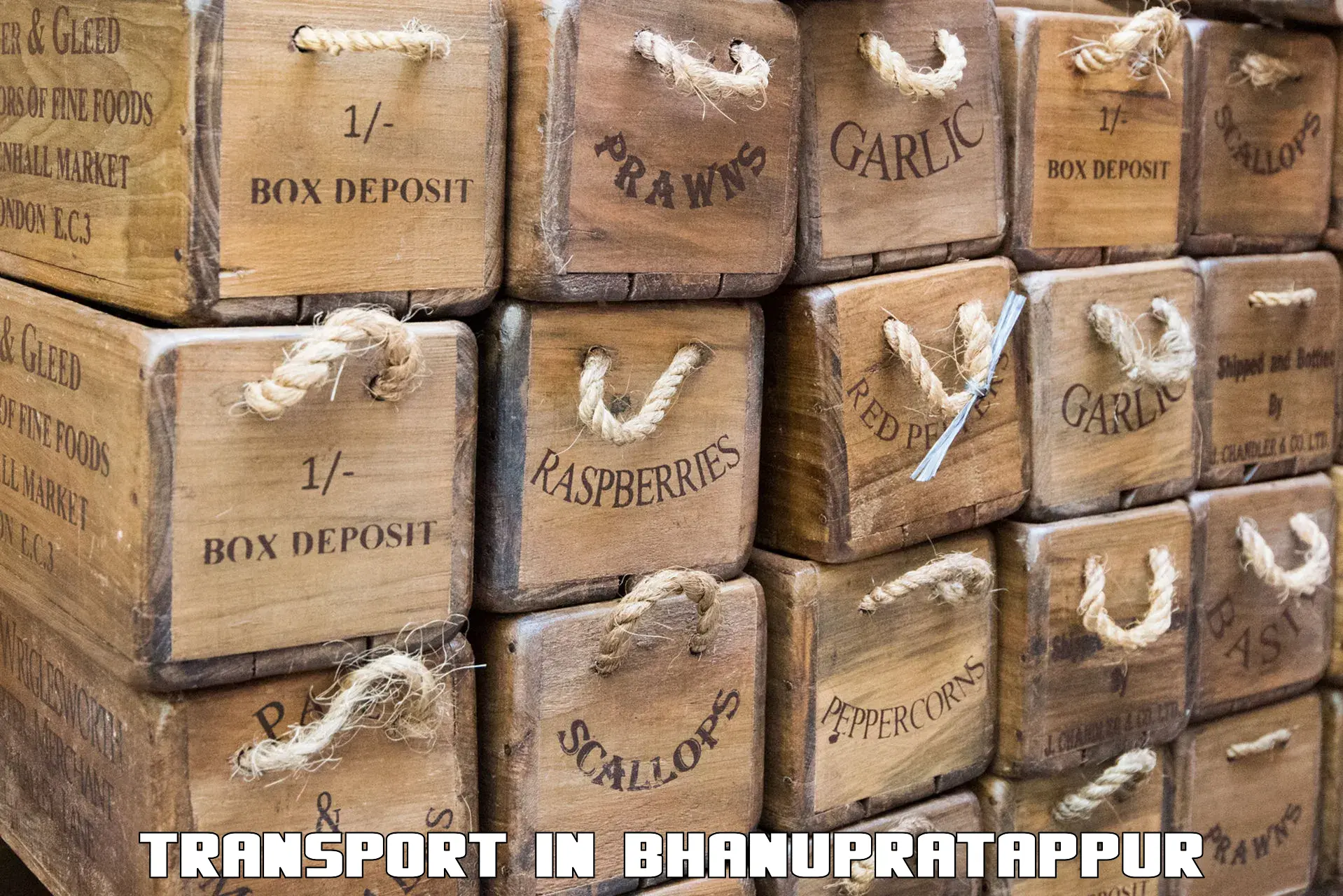 Daily transport service in Bhanupratappur