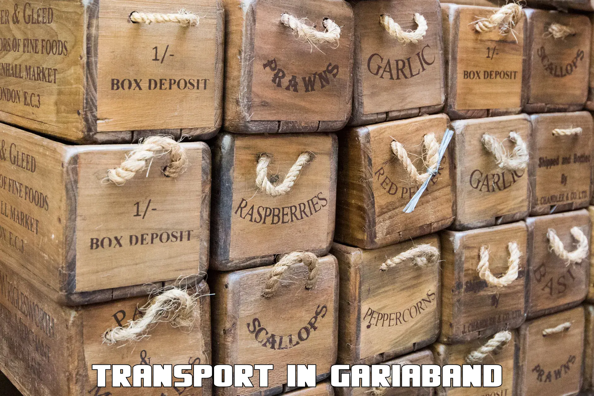 Nationwide transport services in Gariaband