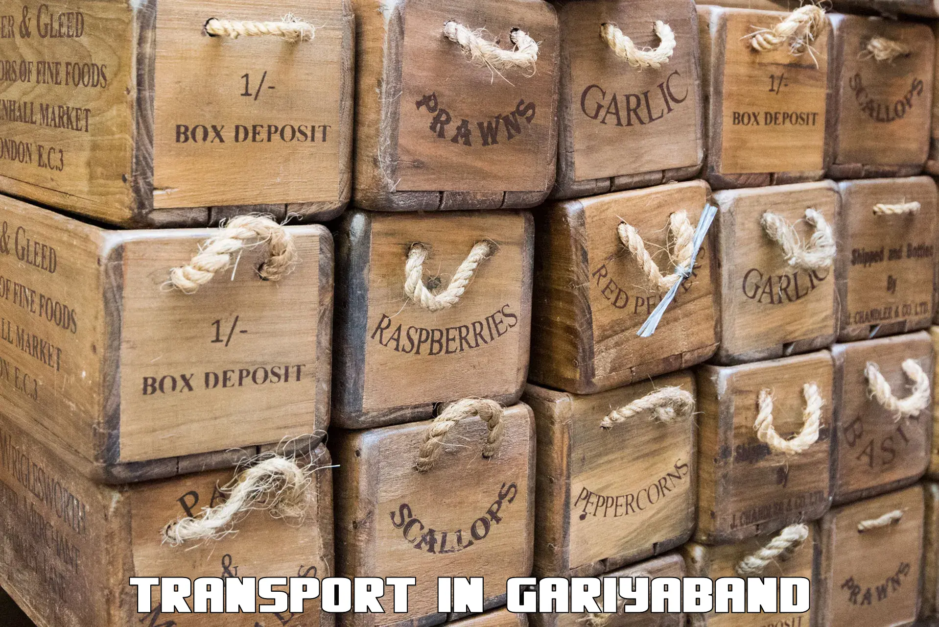 International cargo transportation services in Gariyaband